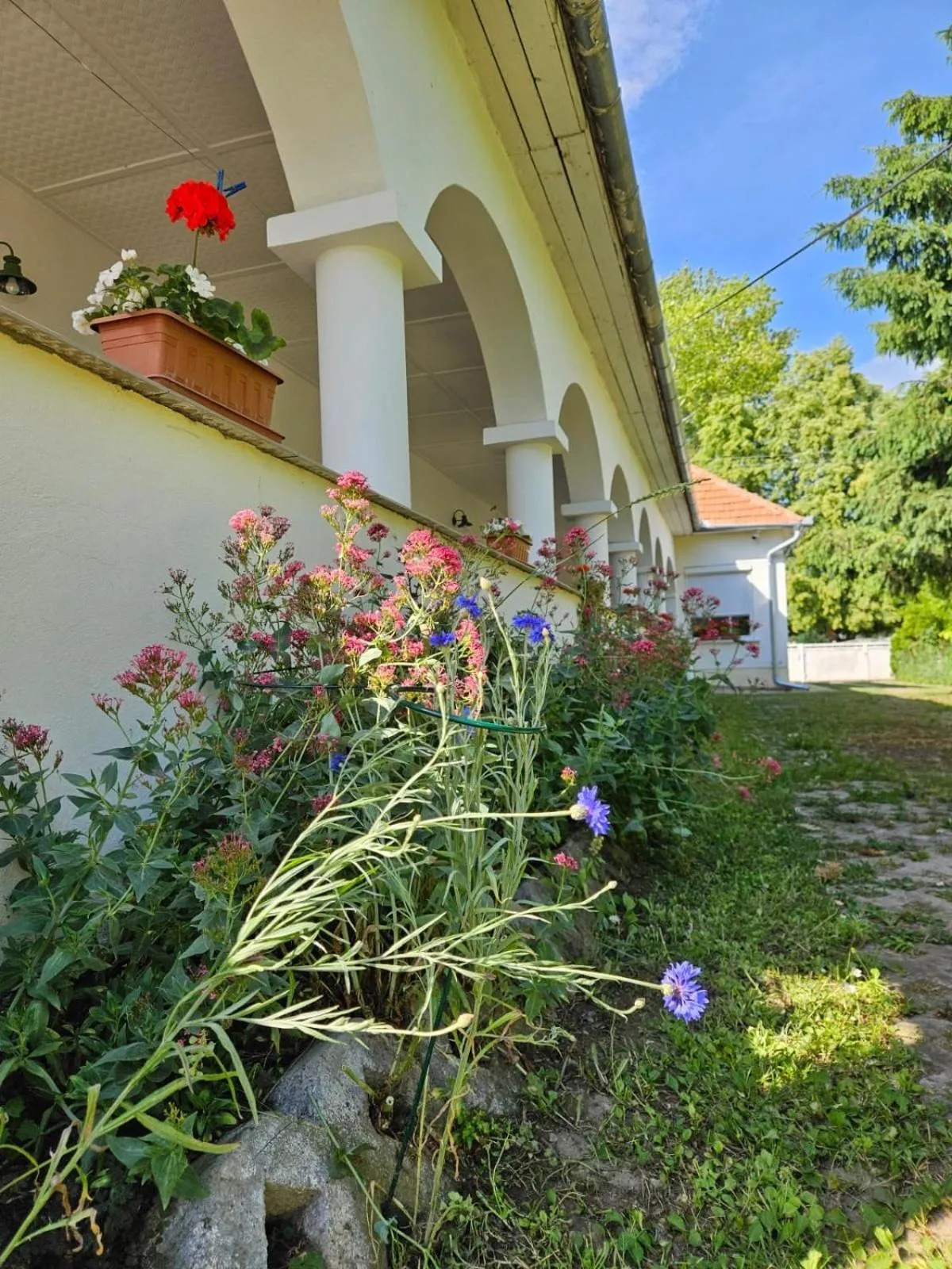 Property building in Penzión Emese