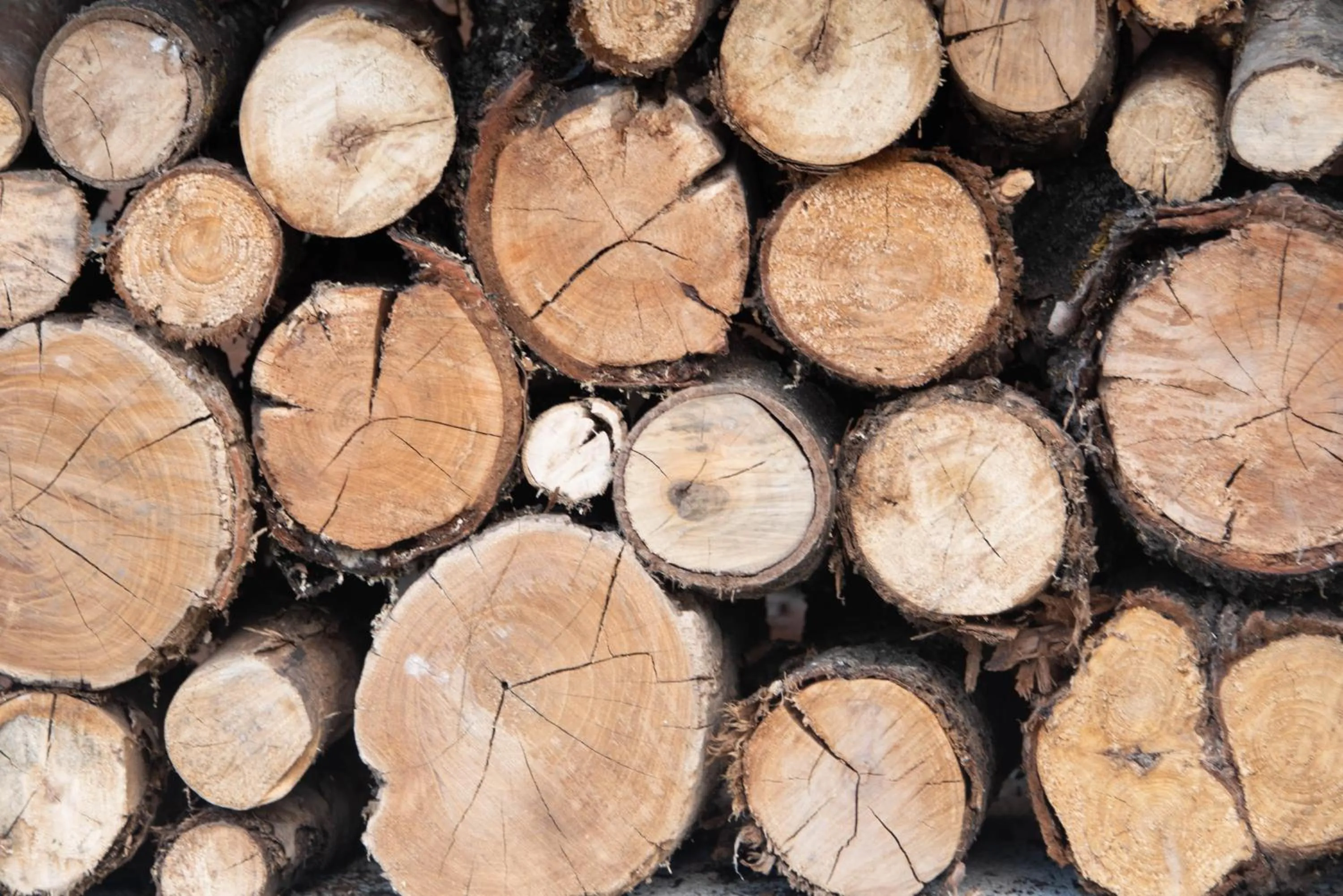 Natural landscape in Penzión Emese