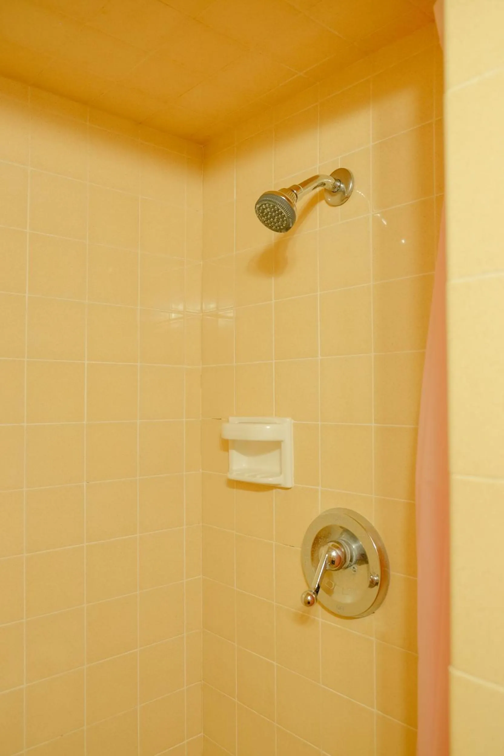 Shower in Sherwood Arms Motel