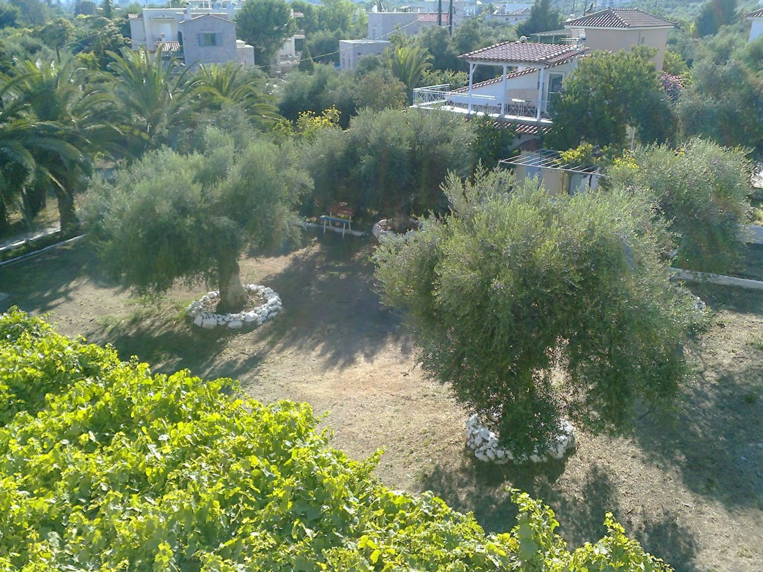 Garden in Aeolos Hotel Apartments