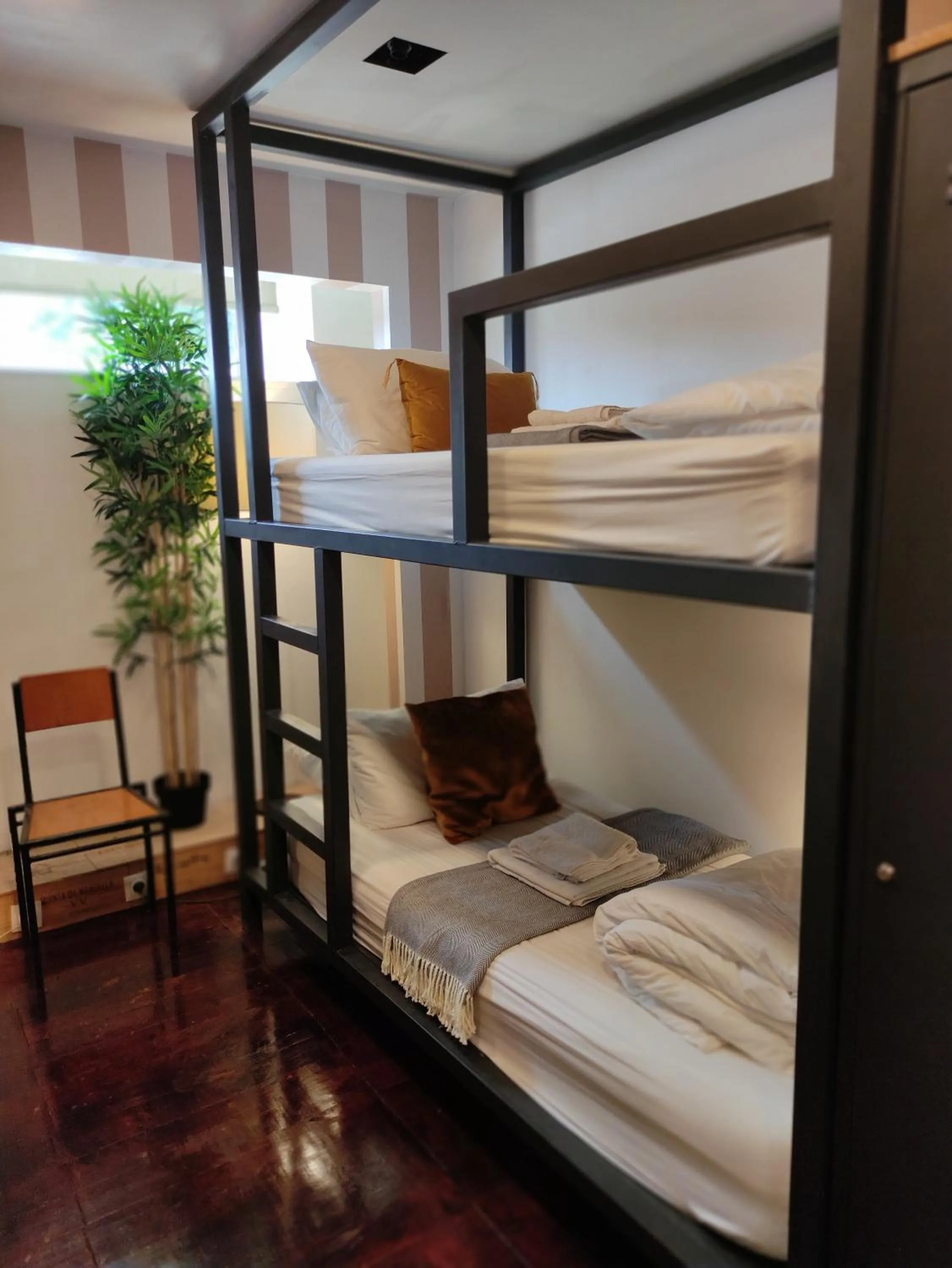 bunk bed, Bed in Caruma Surf Hostel