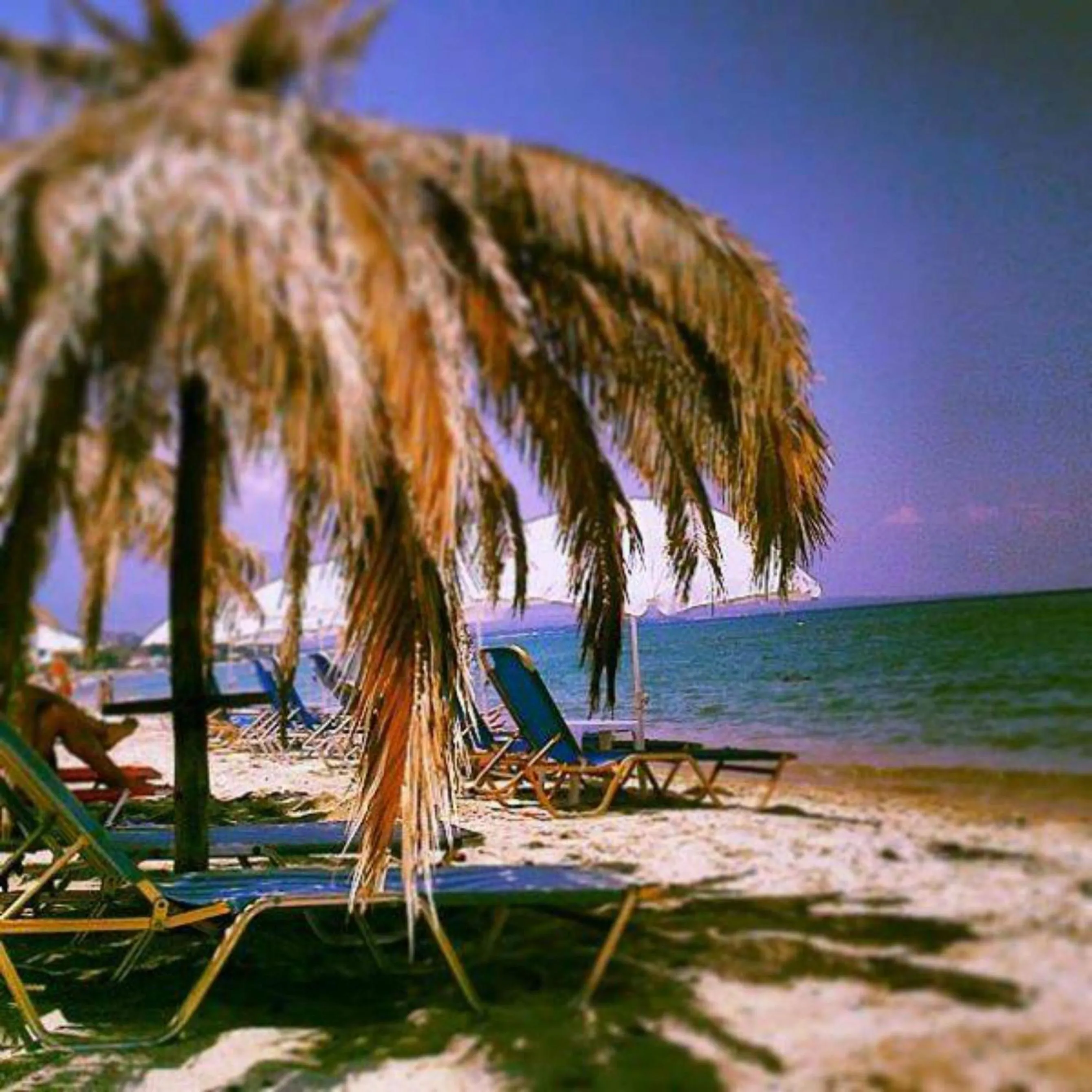 Beach in Isla Studios
