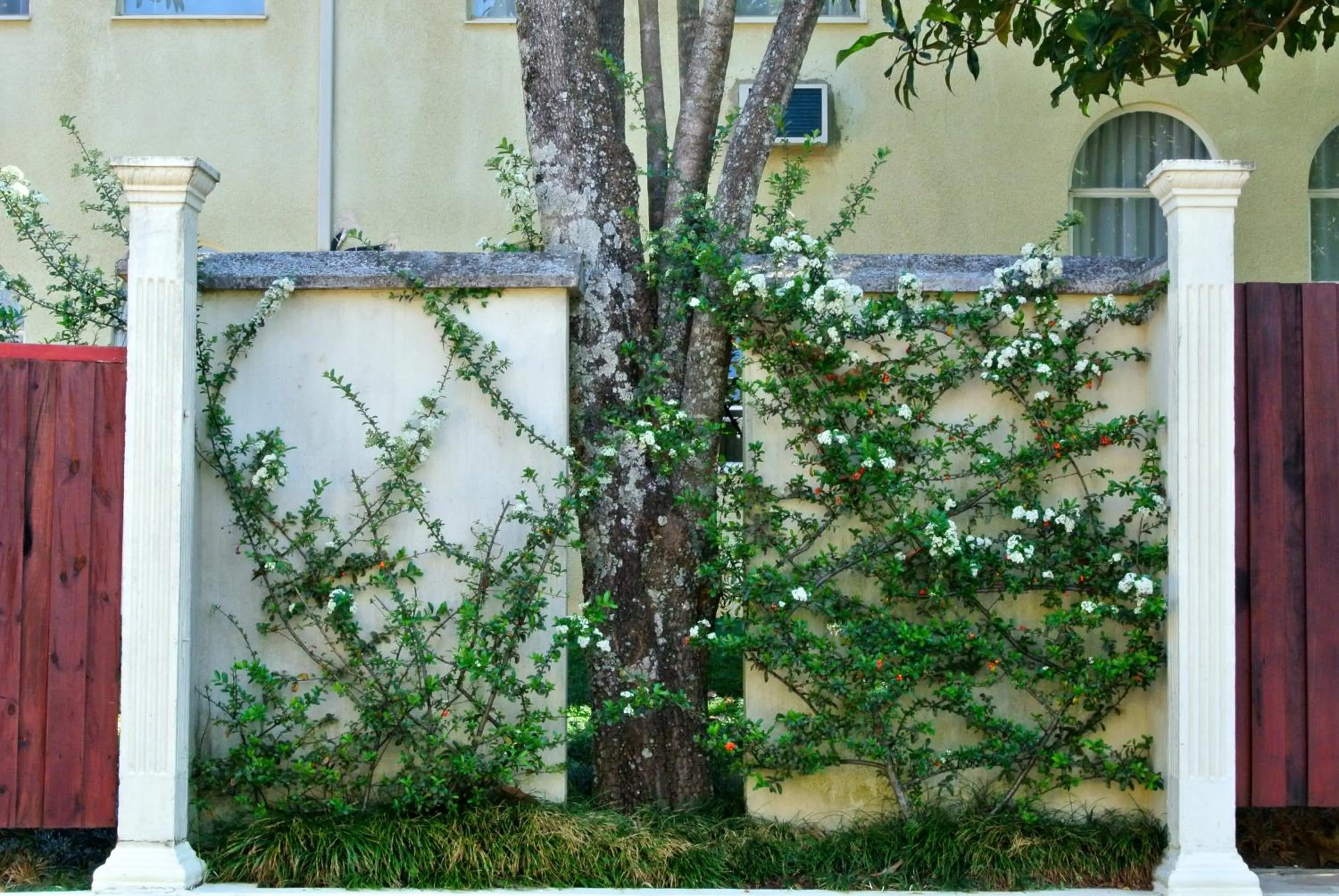 Garden in Mountain View International Hotel - Eswatini