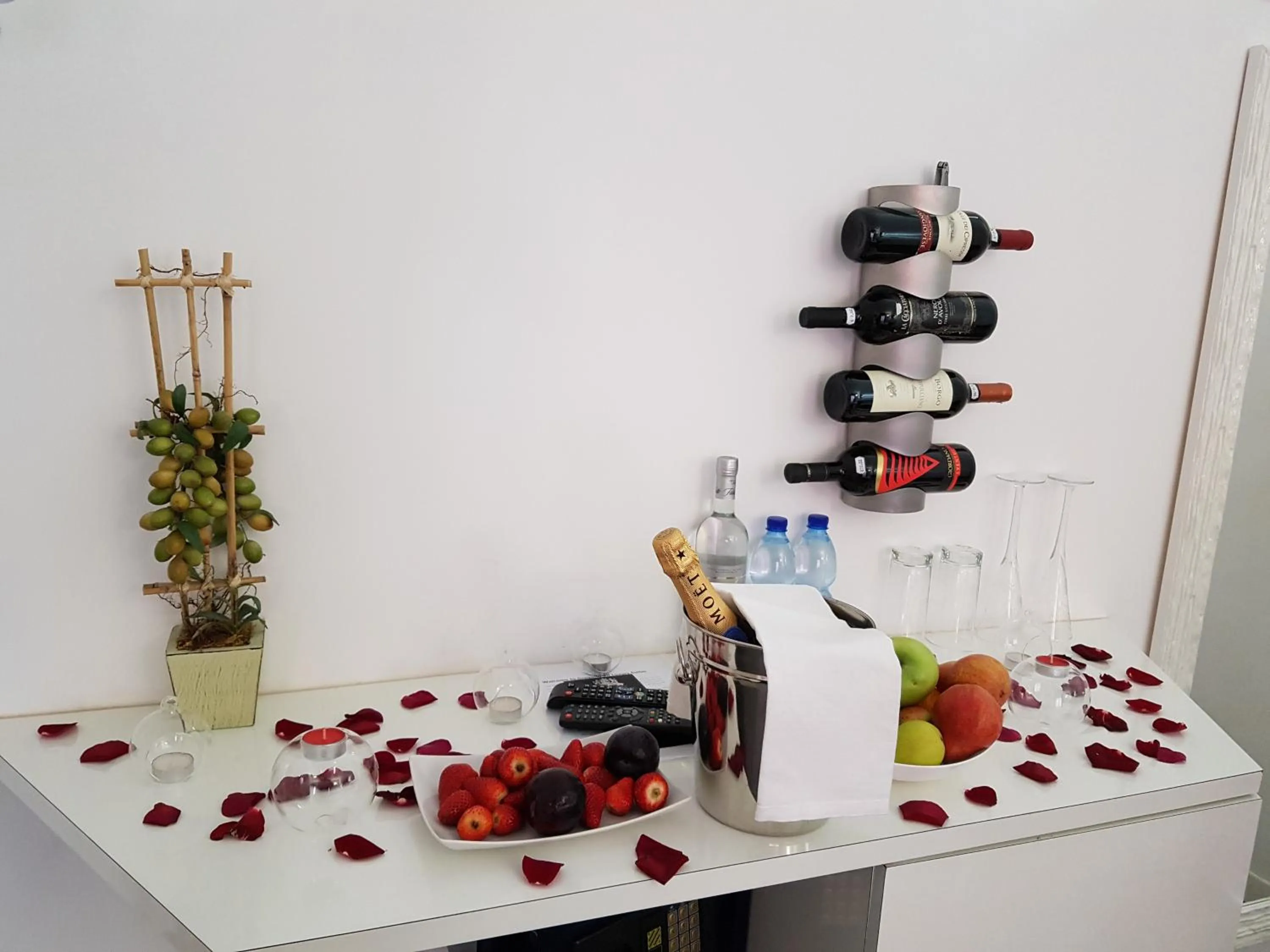 Area and facilities in Gregorio VII Luxury Suites