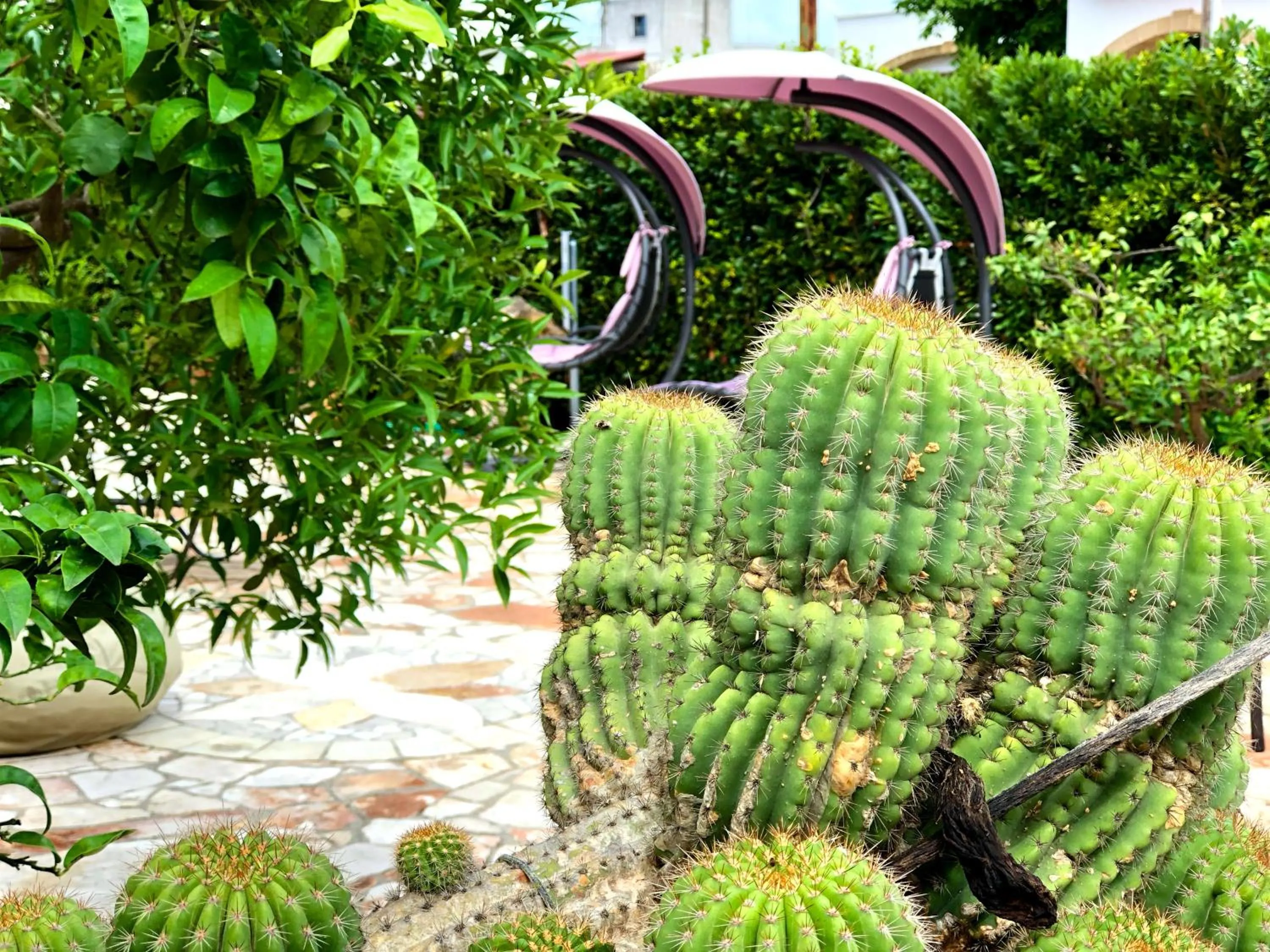 Garden in B&B NiloSira