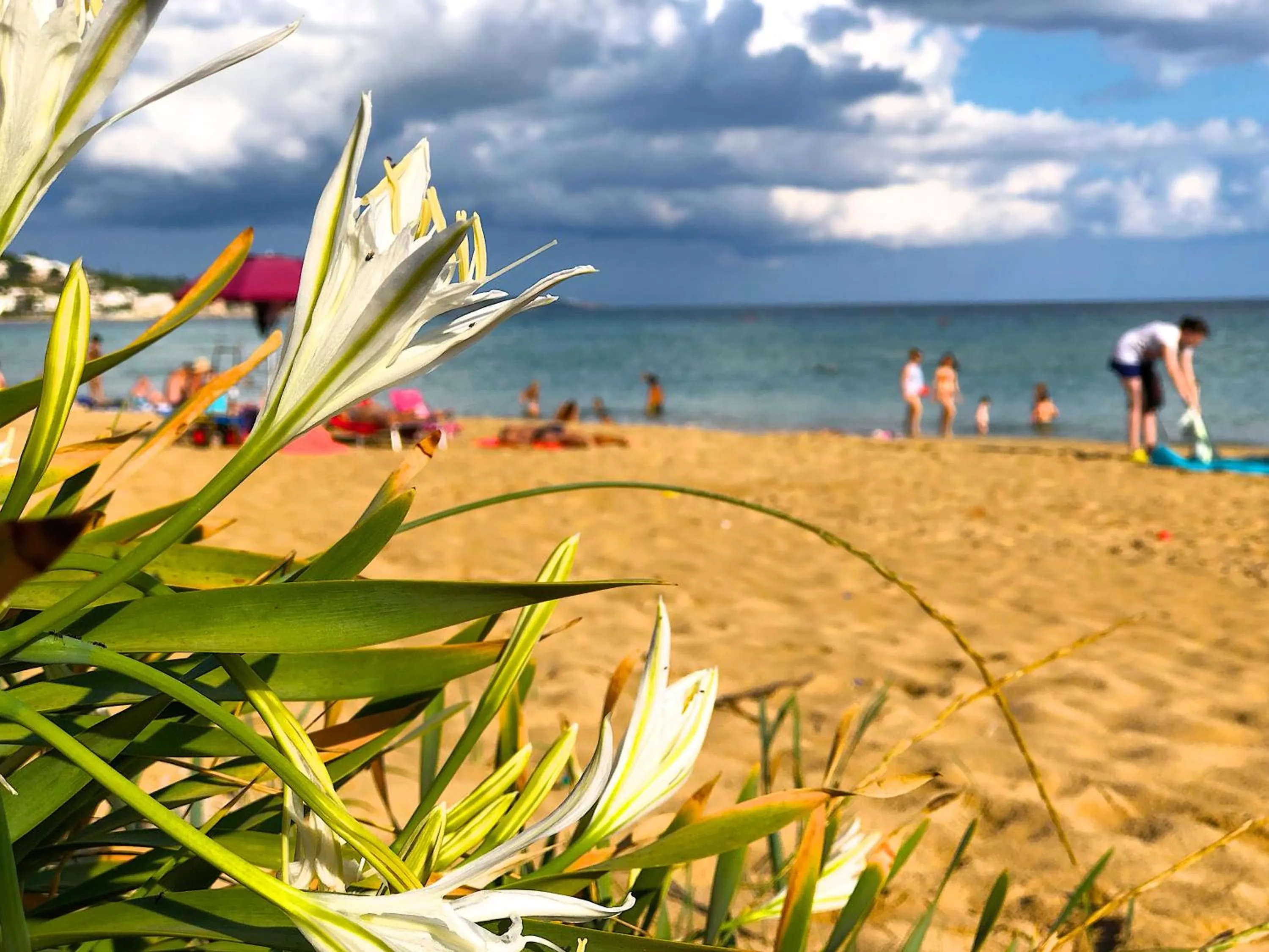 Nearby landmark in B&B NiloSira