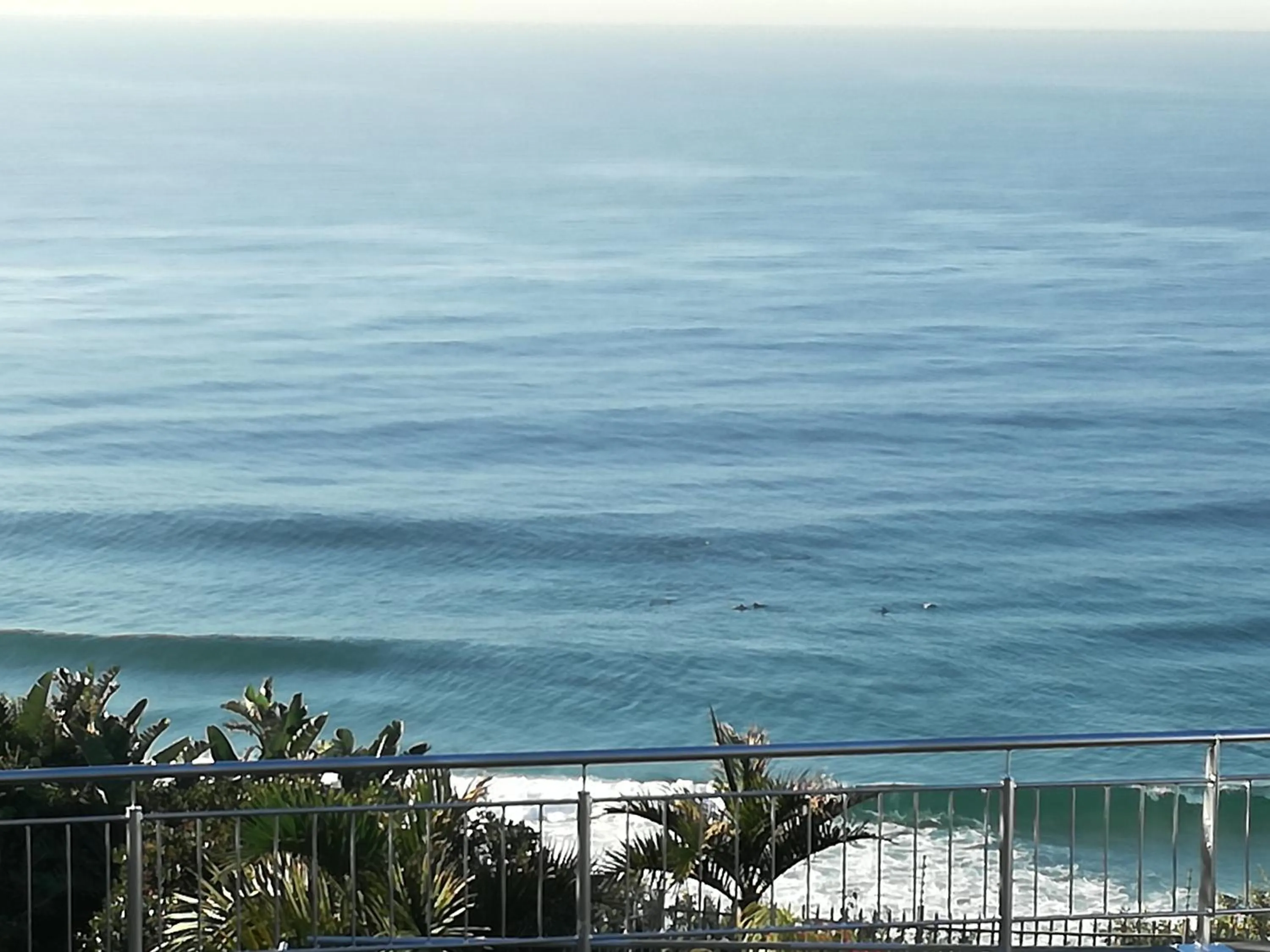 Sea view in Dolphin Point B&B