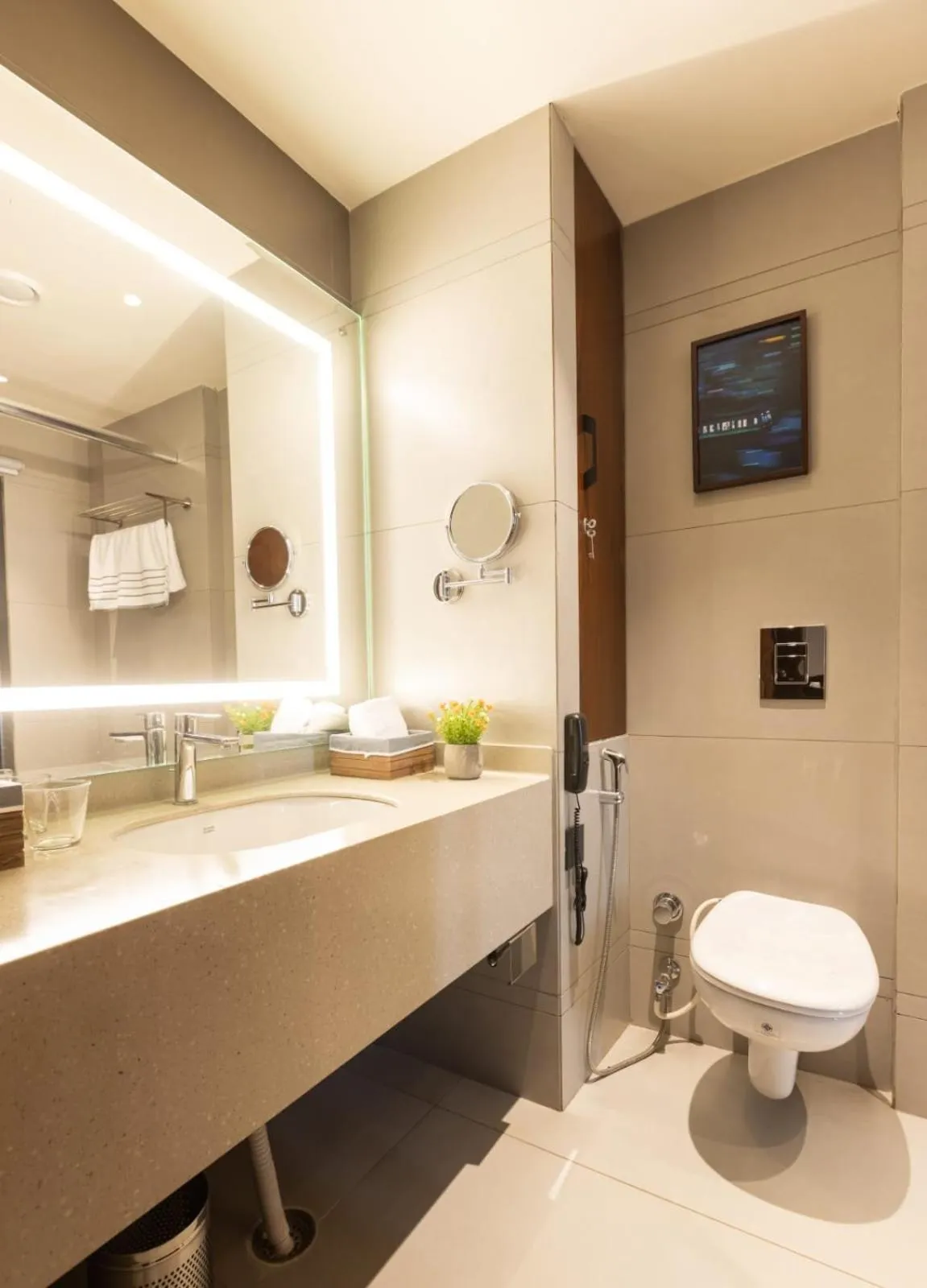 Toilet in Clarks Inn Express Ludhiana