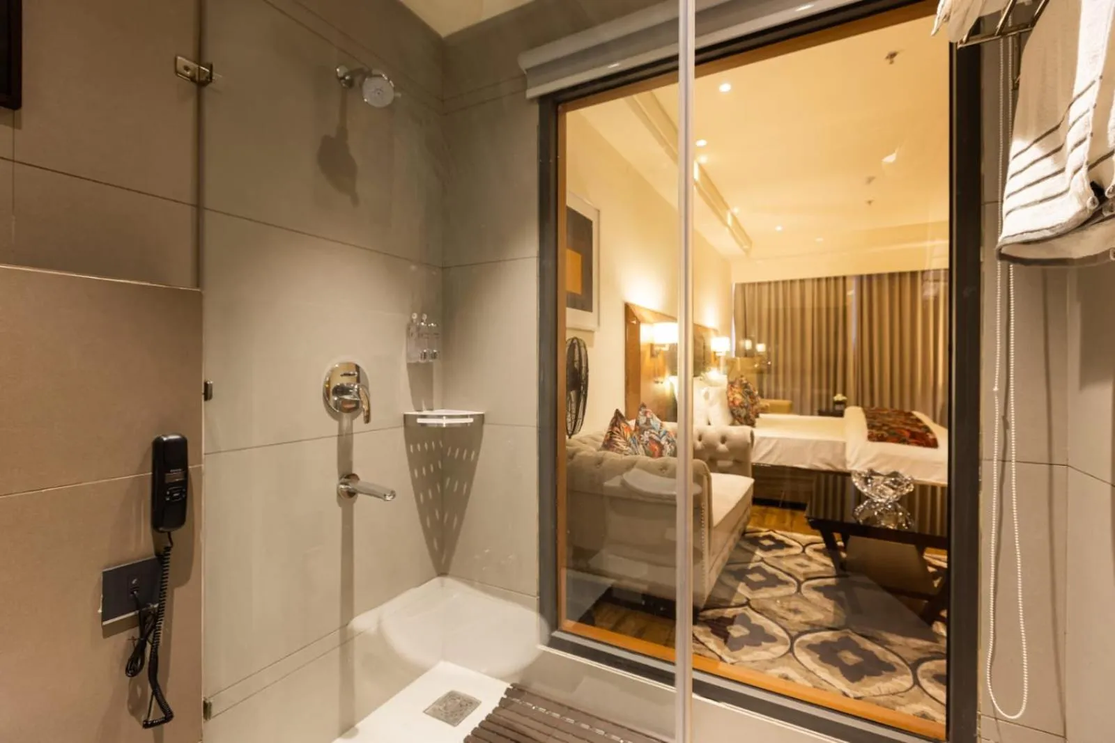 Shower in Clarks Inn Express Ludhiana