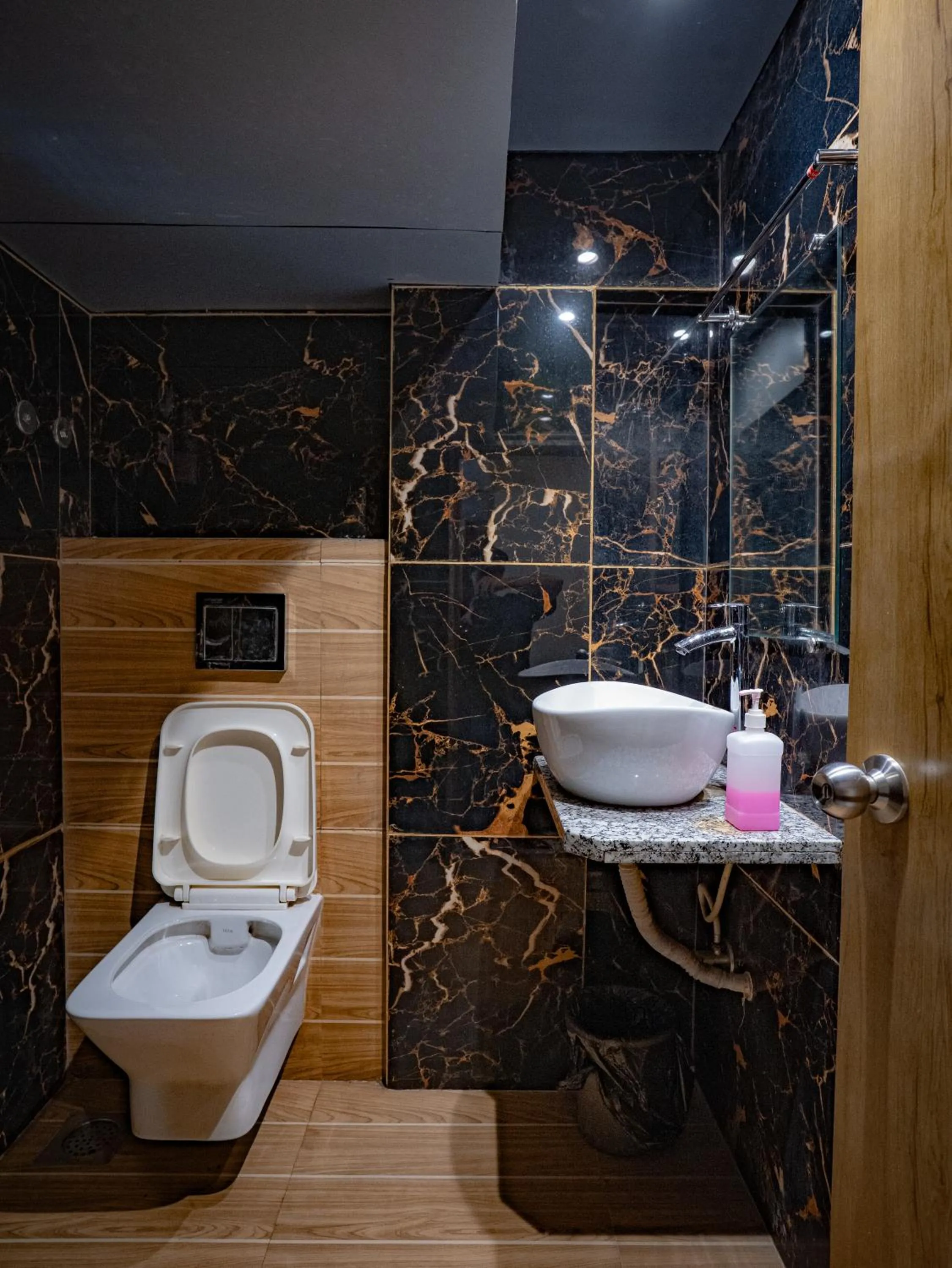 Hotel Mourya Residency