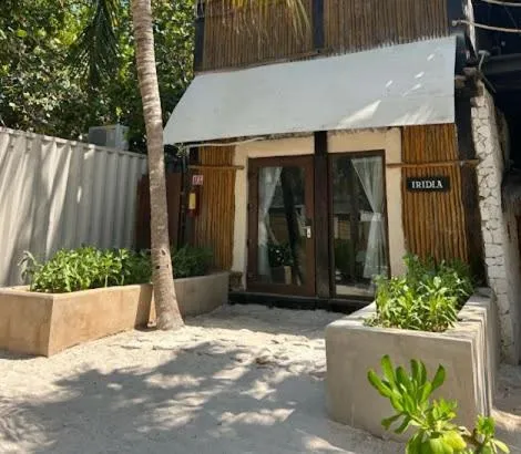 View (from property/room) in Alquimia Hotel Boutique