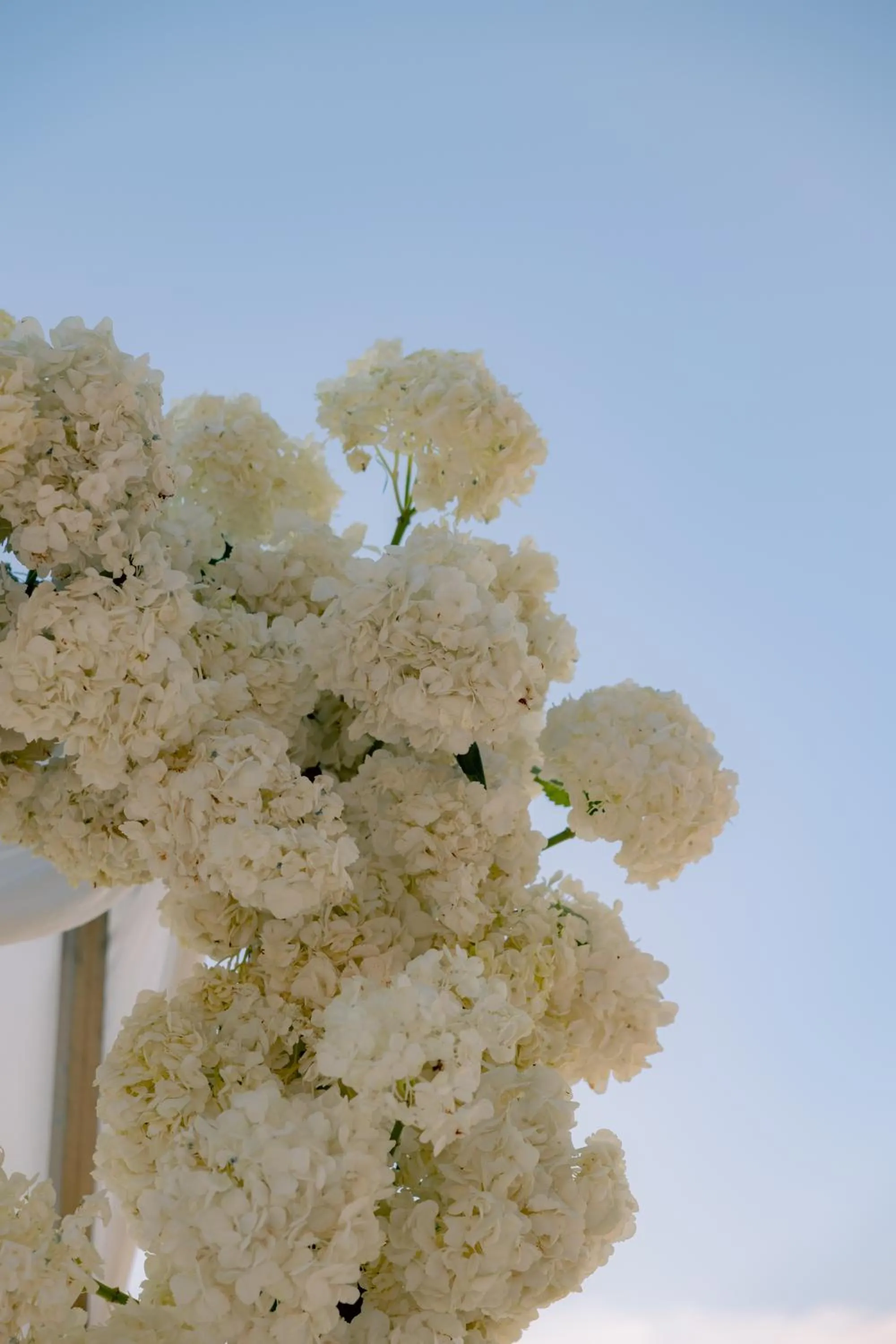 Day in Alquimia Hotel Boutique