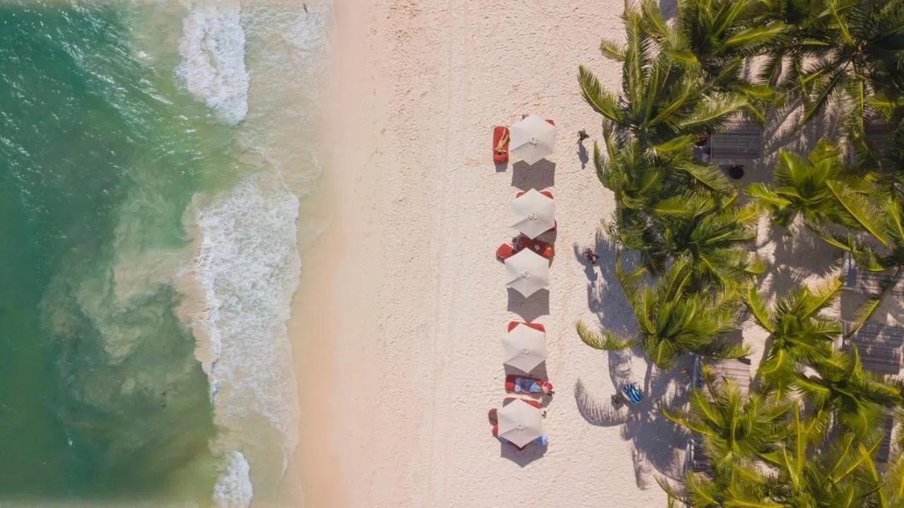 Natural landscape in Alquimia Hotel Boutique