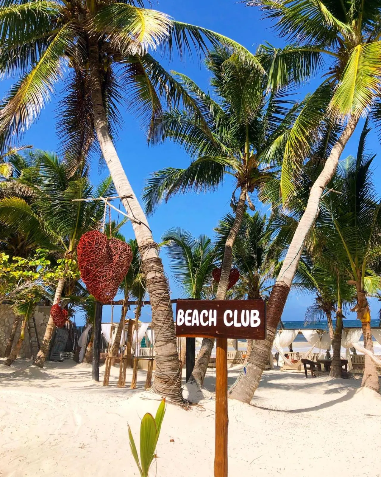 Restaurant/places to eat in Alquimia Hotel Boutique