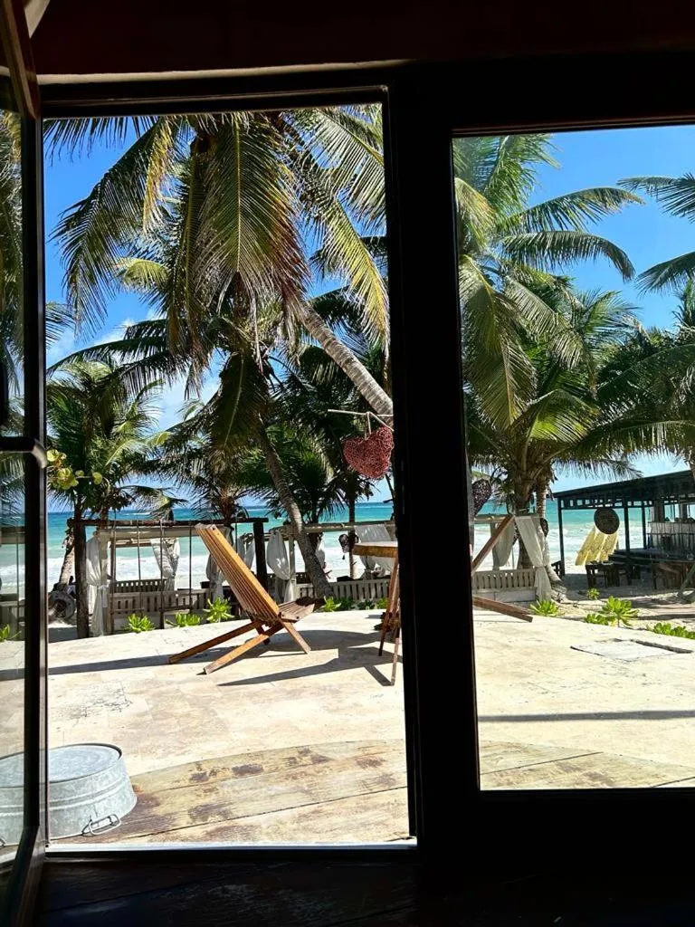 View (from property/room) in Alquimia Hotel Boutique