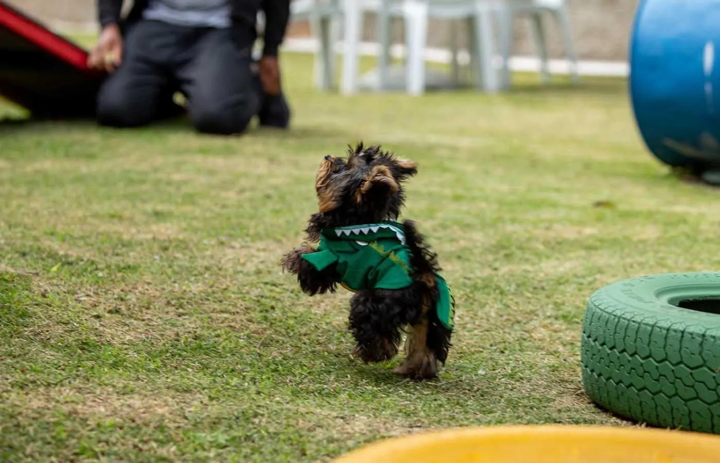 Hotel Refúgio Vista Serrana