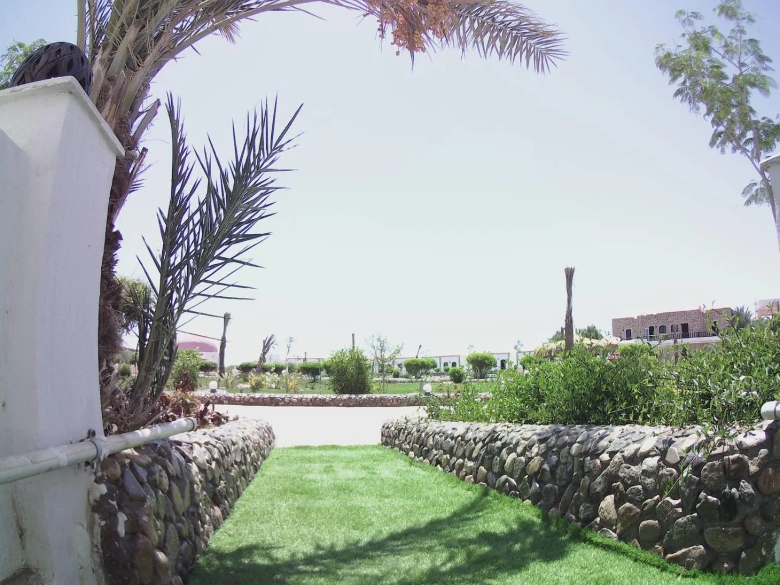 Natural landscape in Dolphin Continental Hotel