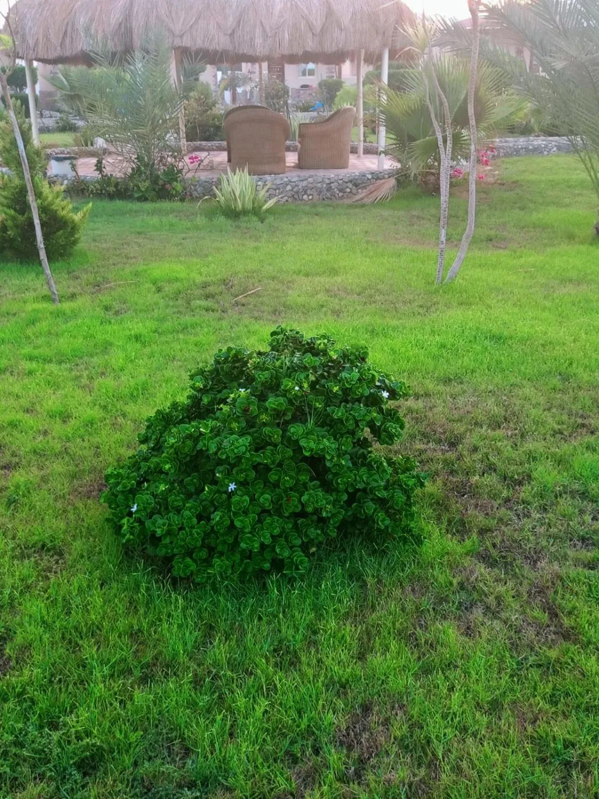 Natural landscape in Dolphin Continental Hotel