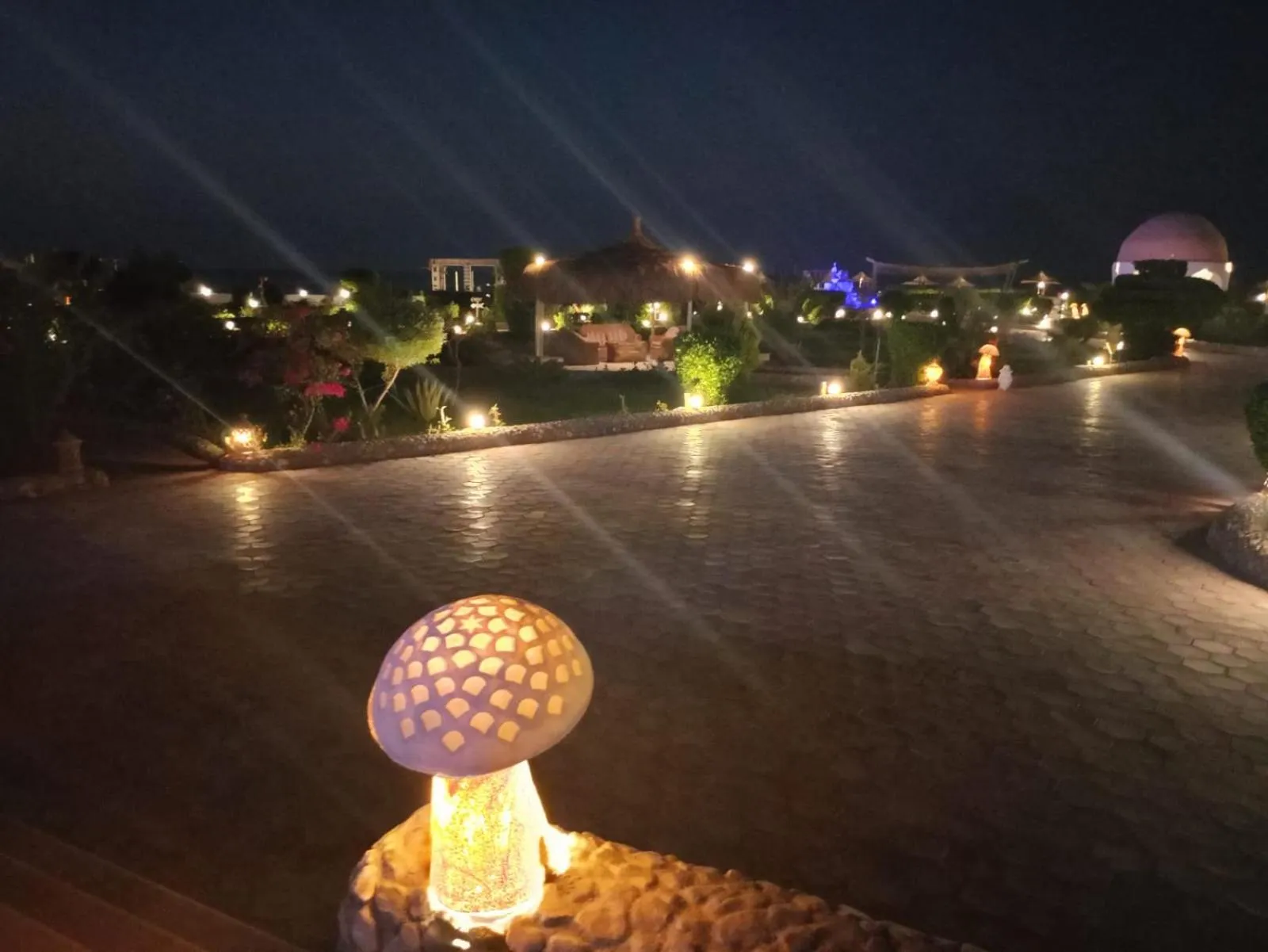 Night in Dolphin Continental Hotel