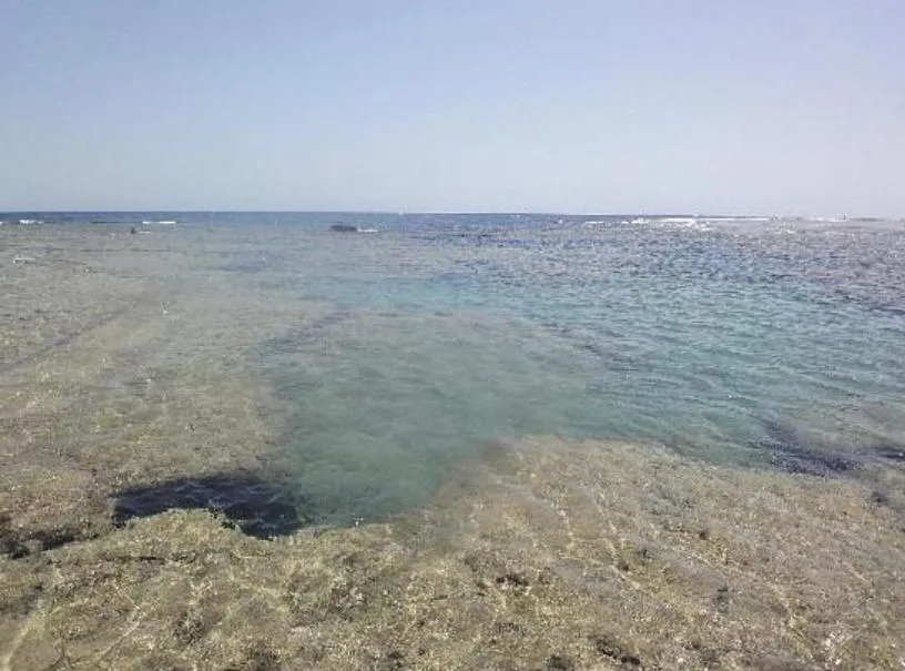 Sea view in Dolphin Continental Hotel