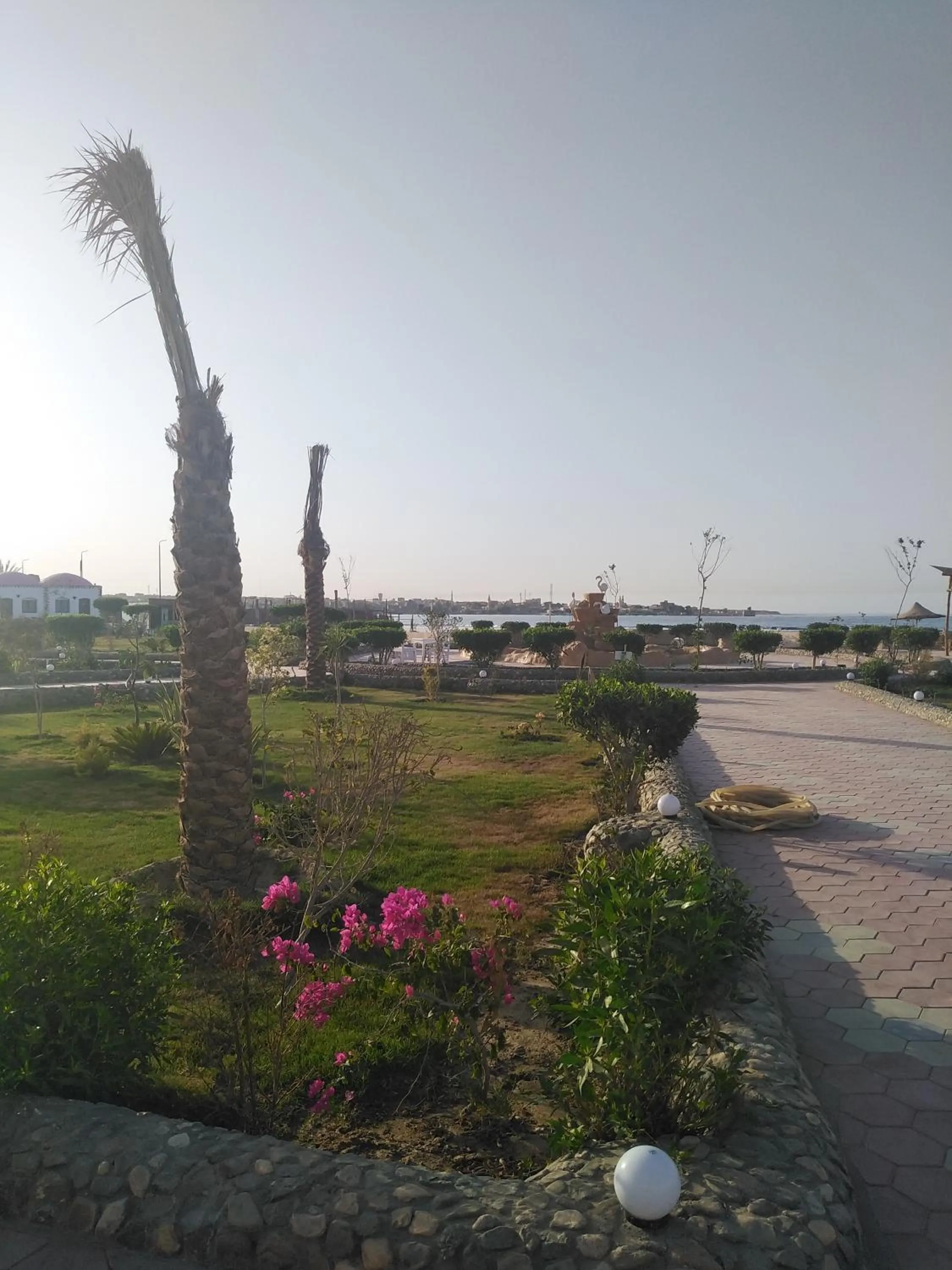 Natural landscape in Dolphin Continental Hotel