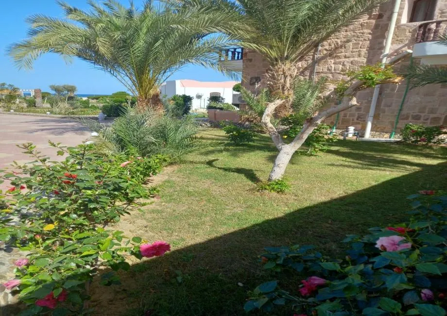 Natural landscape in Dolphin Continental Hotel