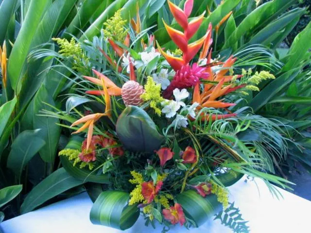 Other in Villa del Sueño