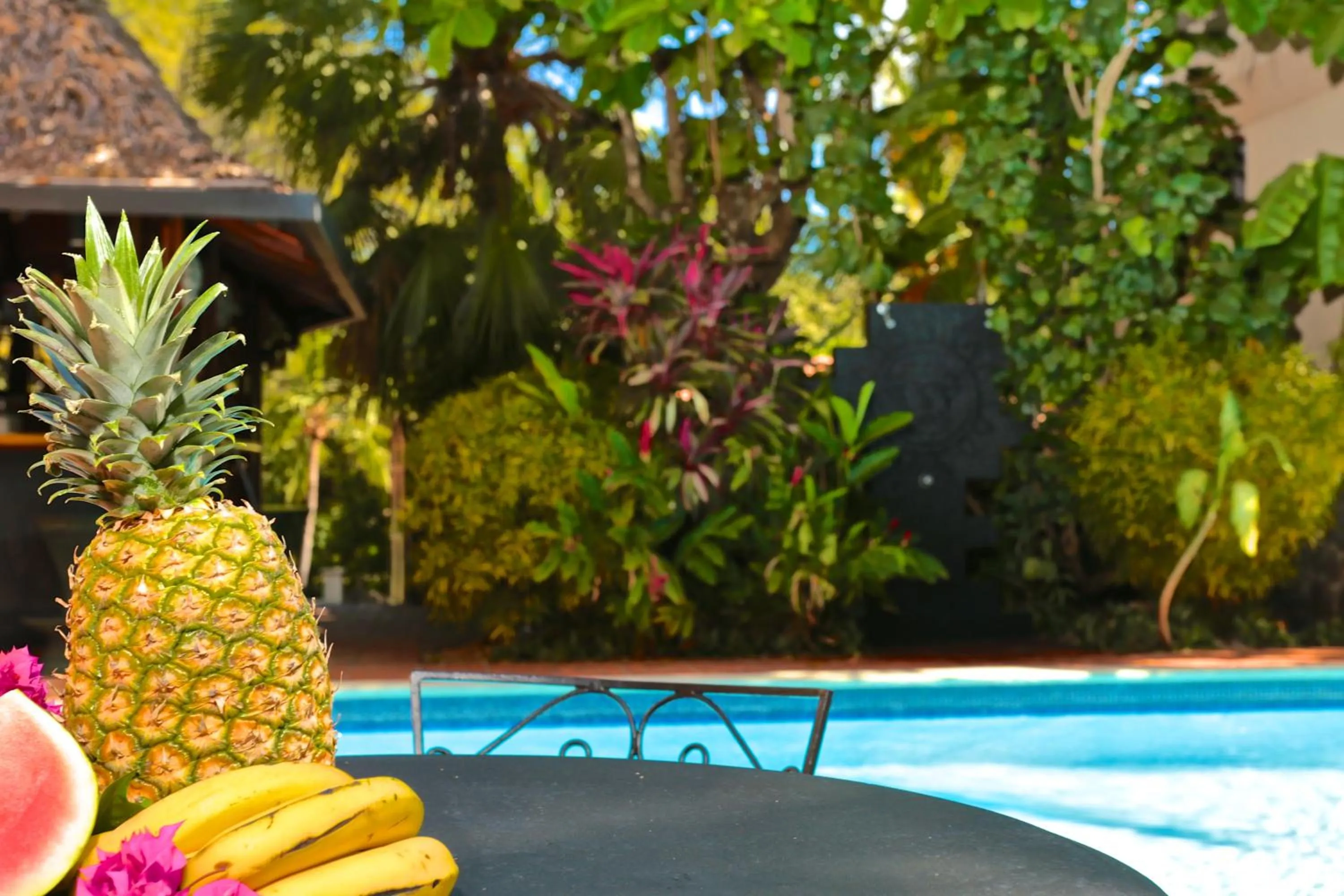 Food in Villa del Sueño