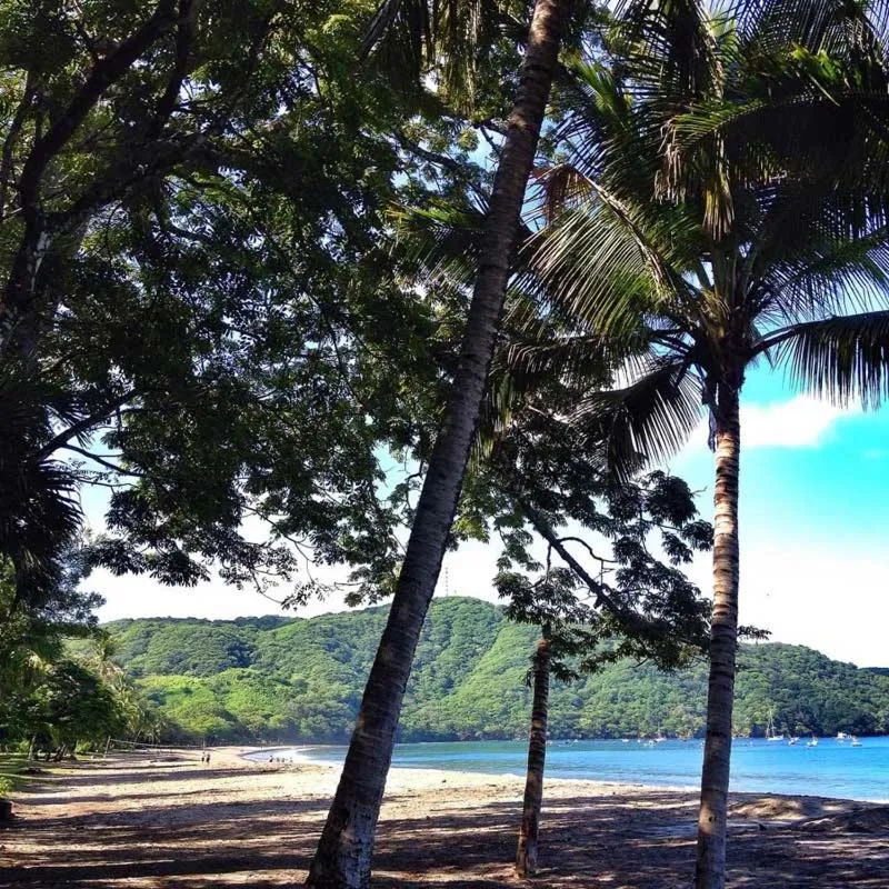 Beach in Villa del Sueño