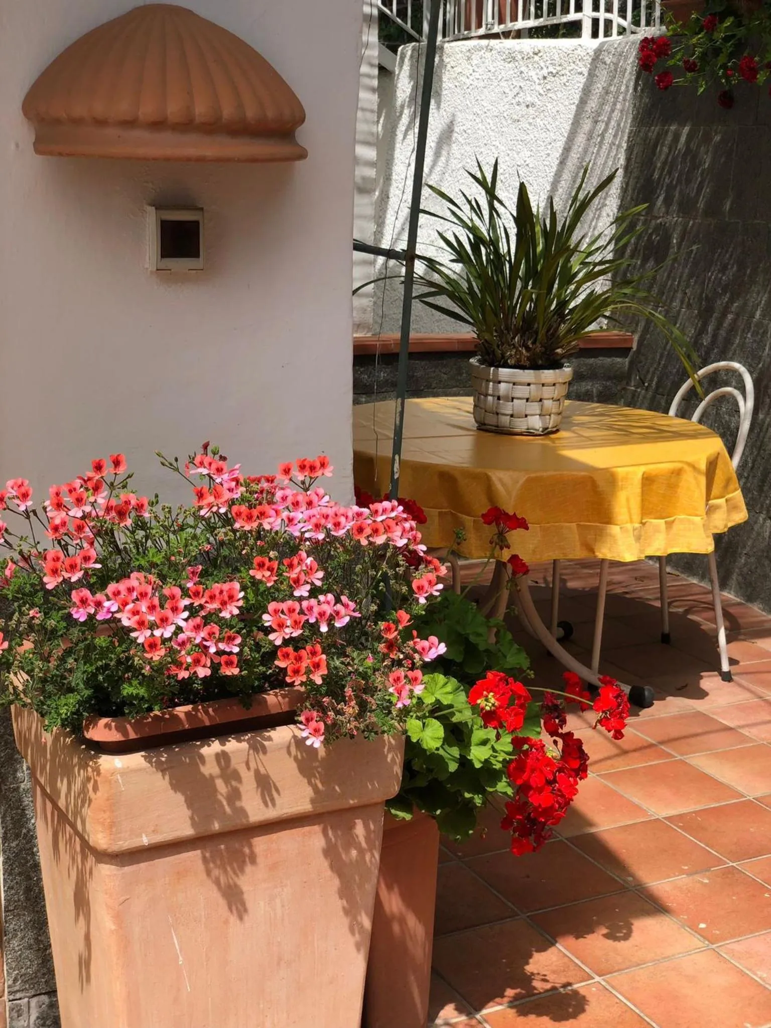 Garden in B&B Villa Anna Wunderbar