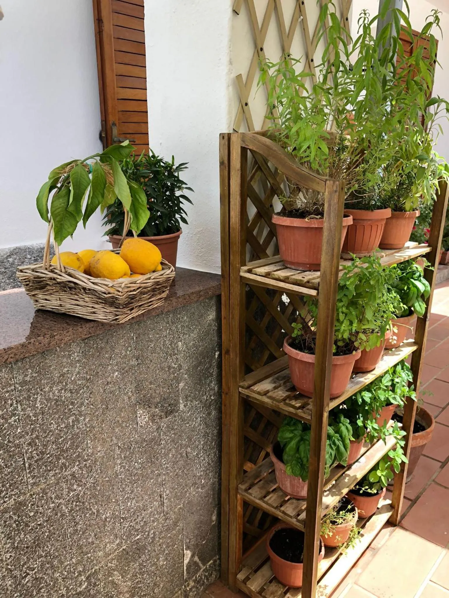 Balcony/Terrace in B&B Villa Anna Wunderbar