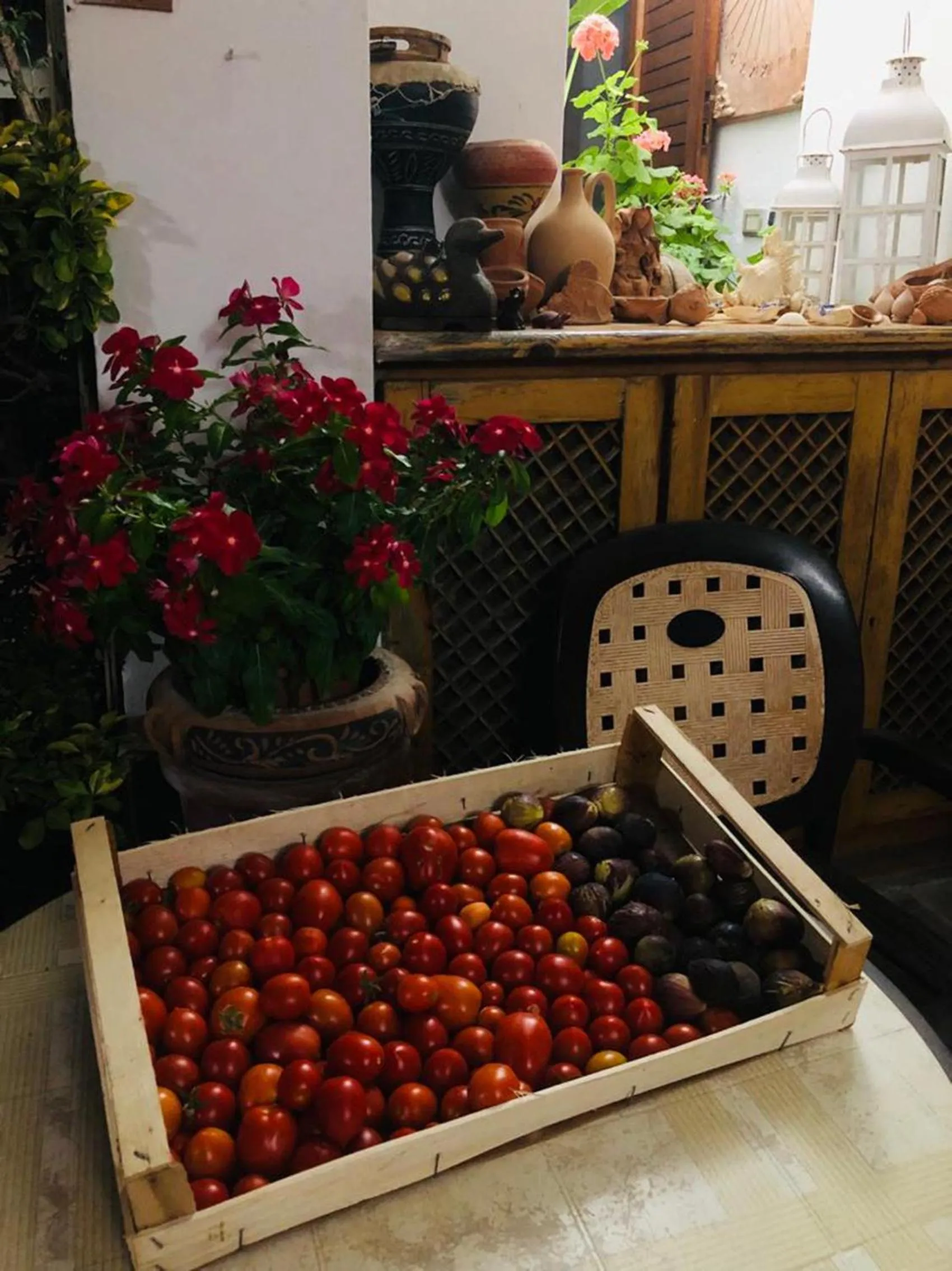 Night in B&B Villa Anna Wunderbar