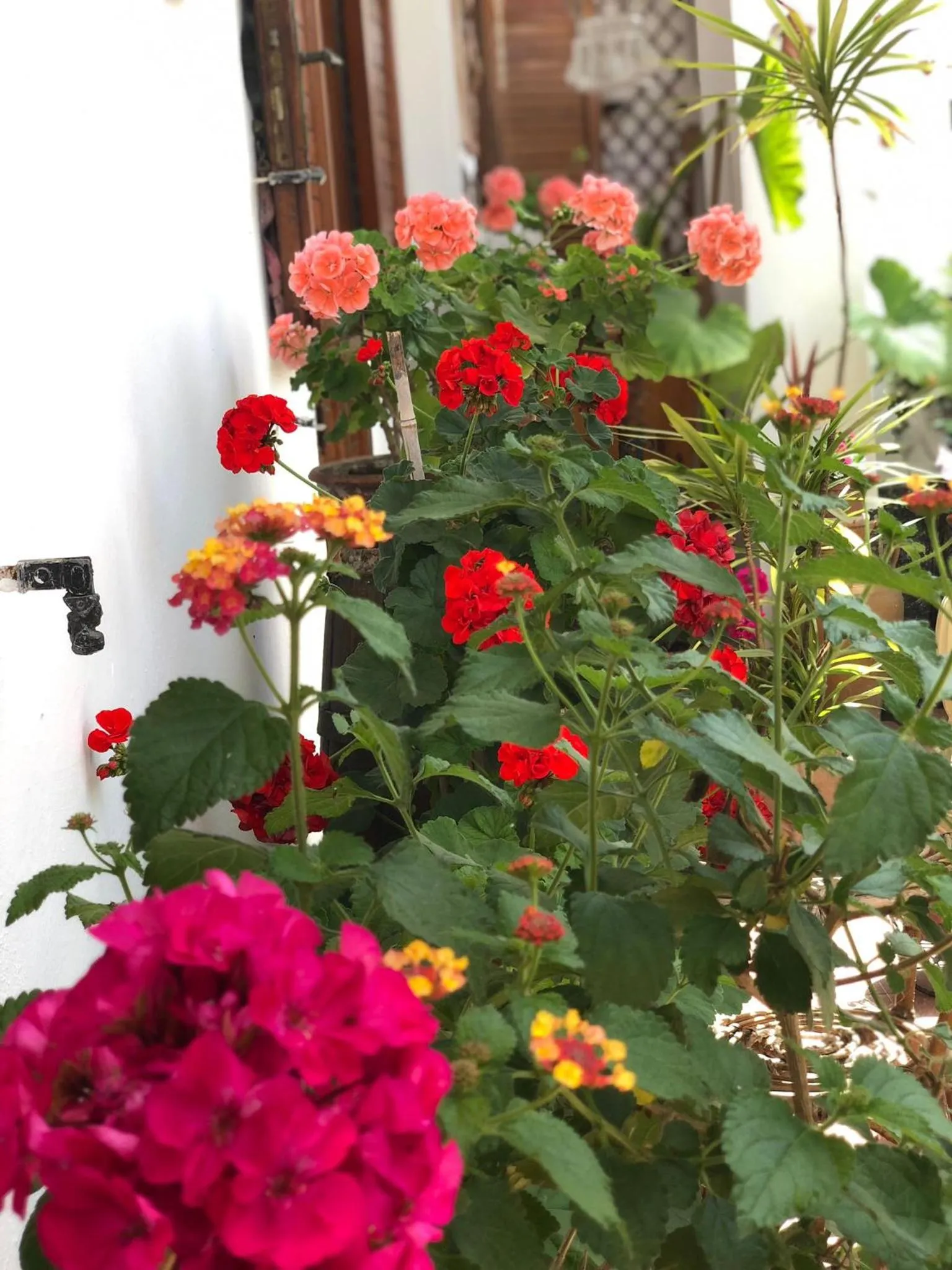 Garden in B&B Villa Anna Wunderbar