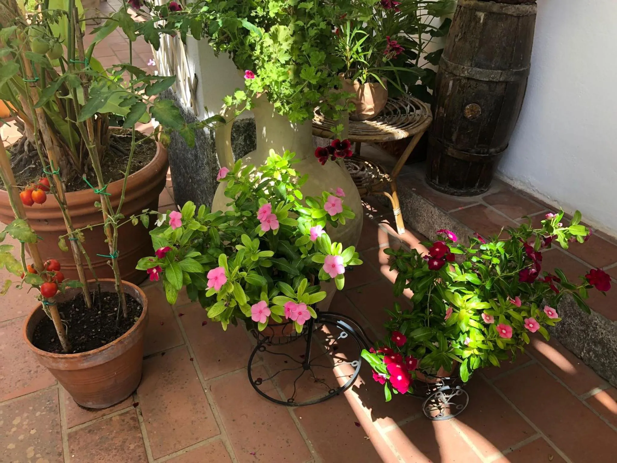 Garden in B&B Villa Anna Wunderbar