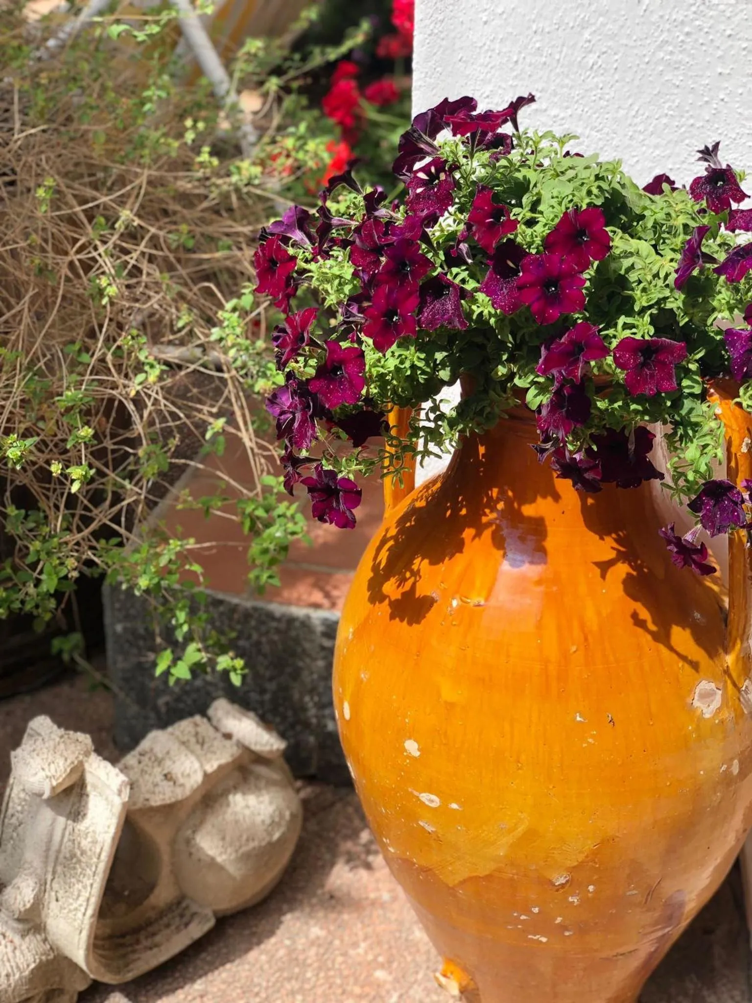 Garden in B&B Villa Anna Wunderbar