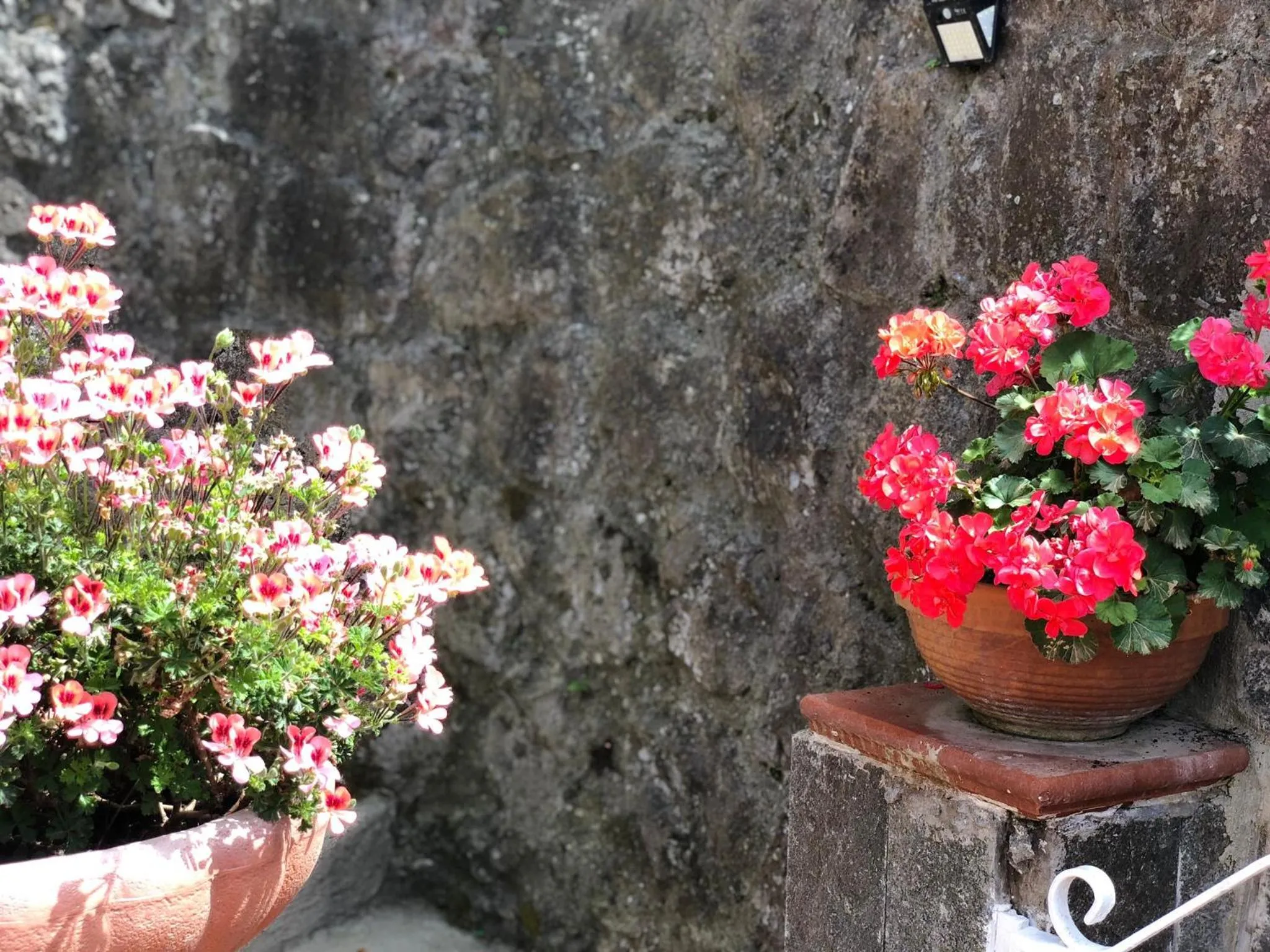 Garden in B&B Villa Anna Wunderbar