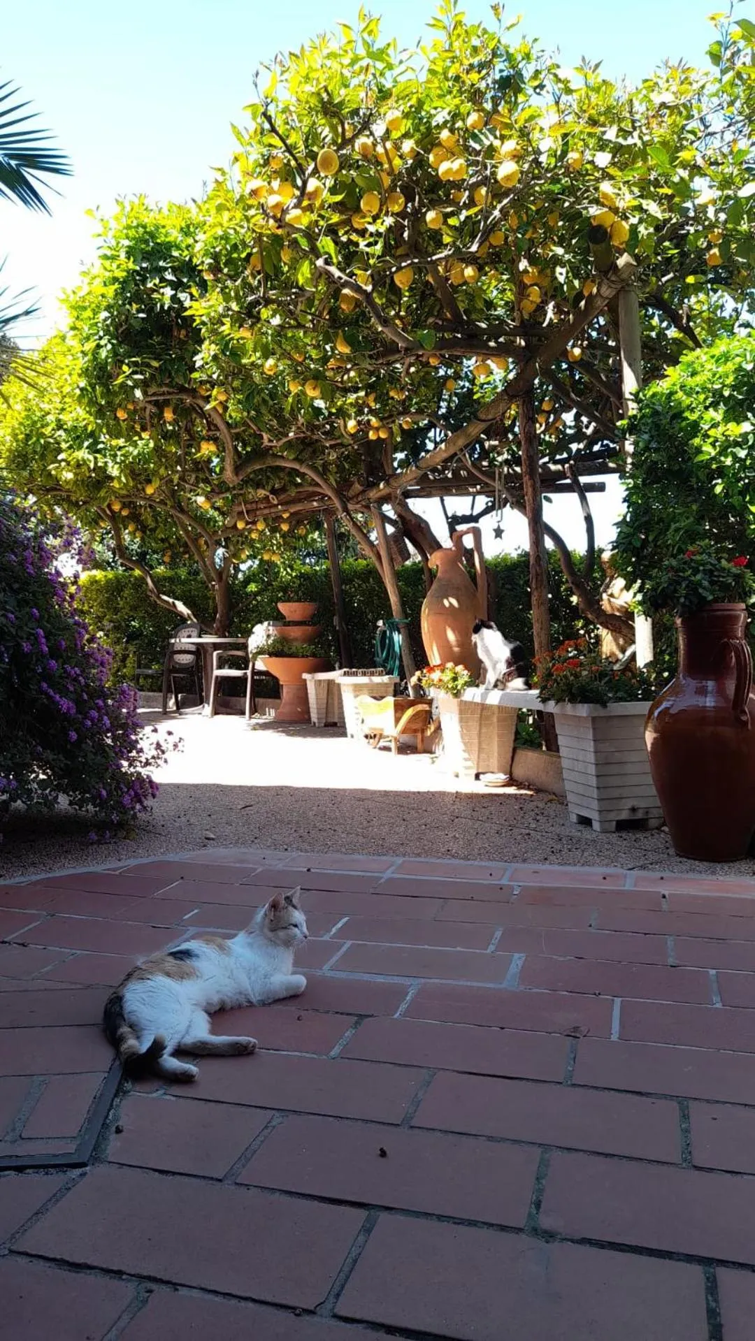 Garden in B&B Villa Anna Wunderbar