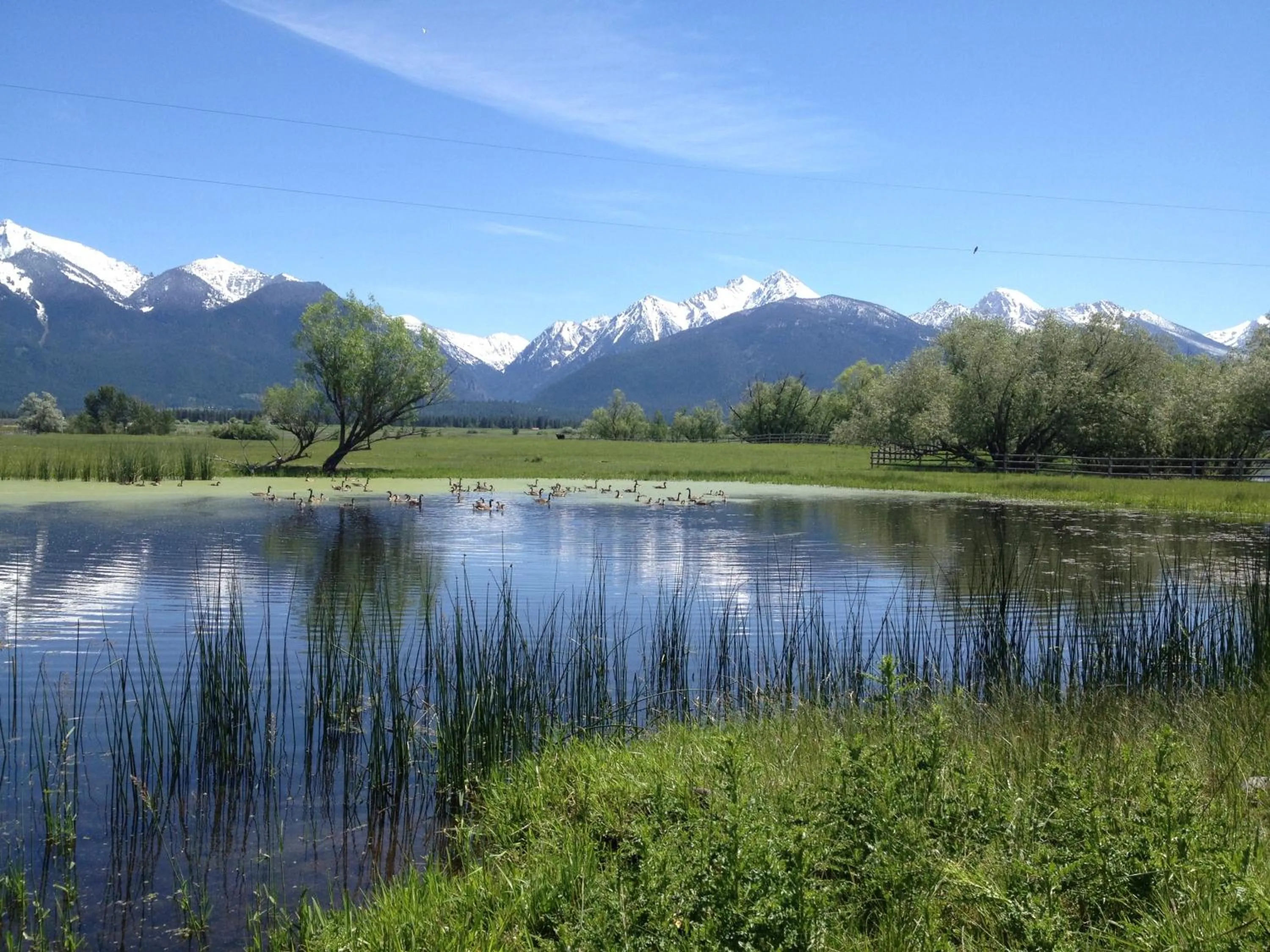 Area and facilities in Ninepipes Lodge