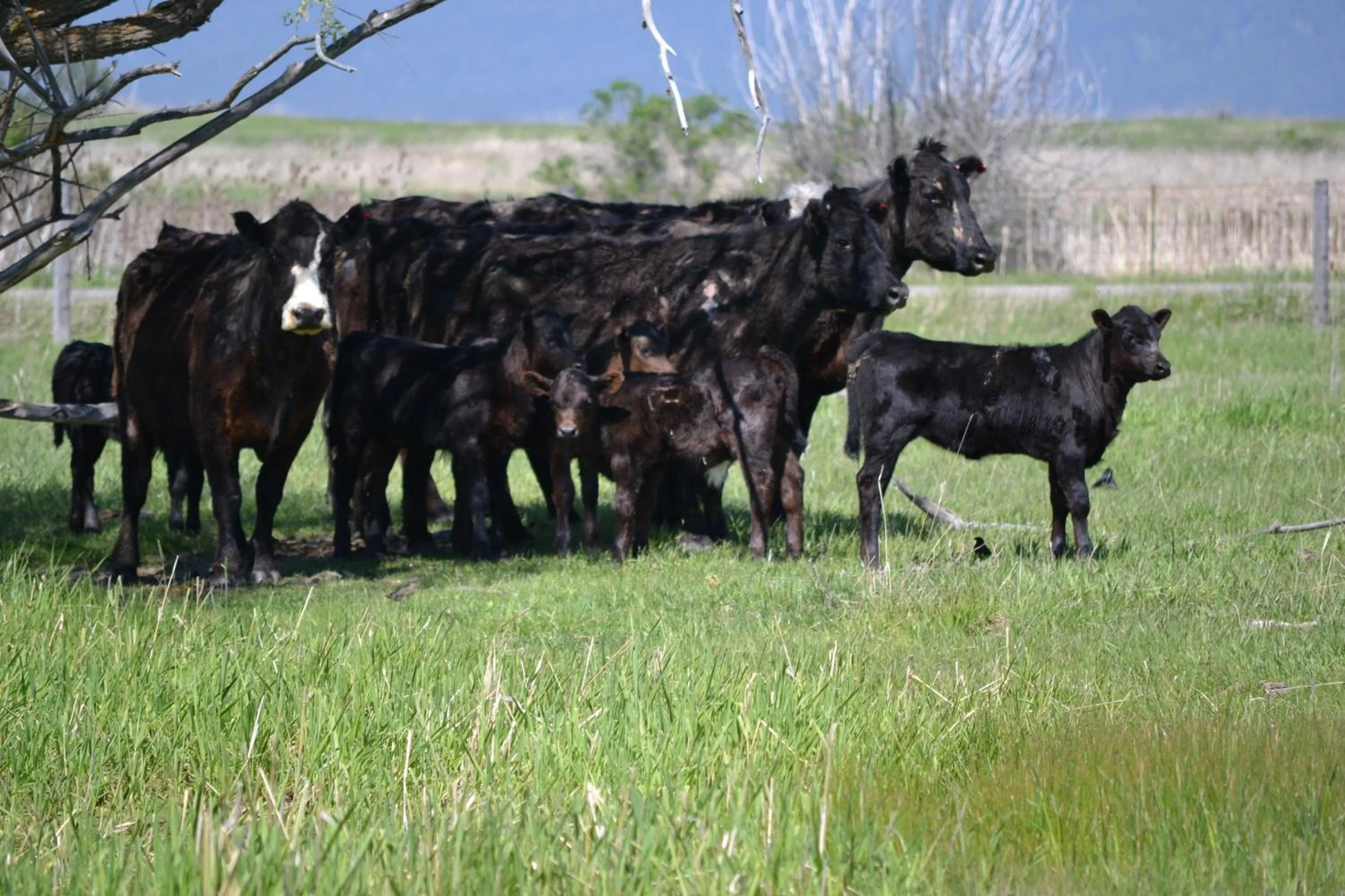 Other in Ninepipes Lodge