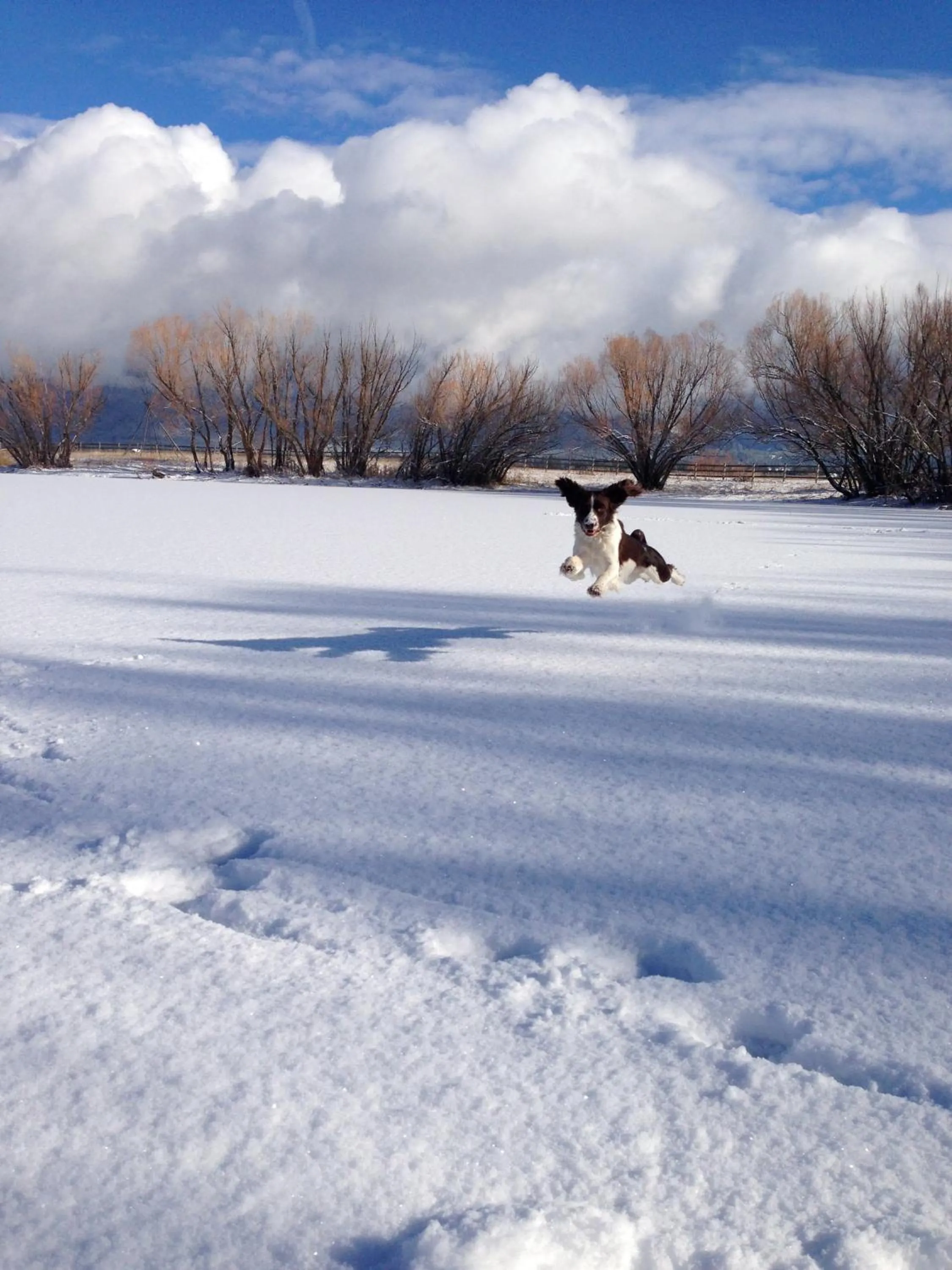 Winter in Ninepipes Lodge