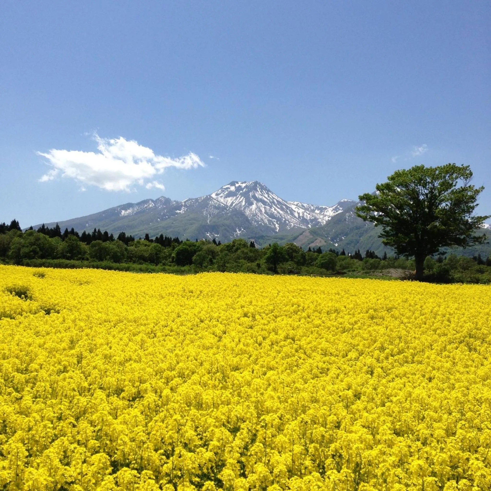 Day in Hotel Alpen Blick