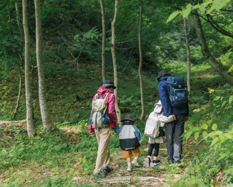 Hiking in Hotel Alpen Blick