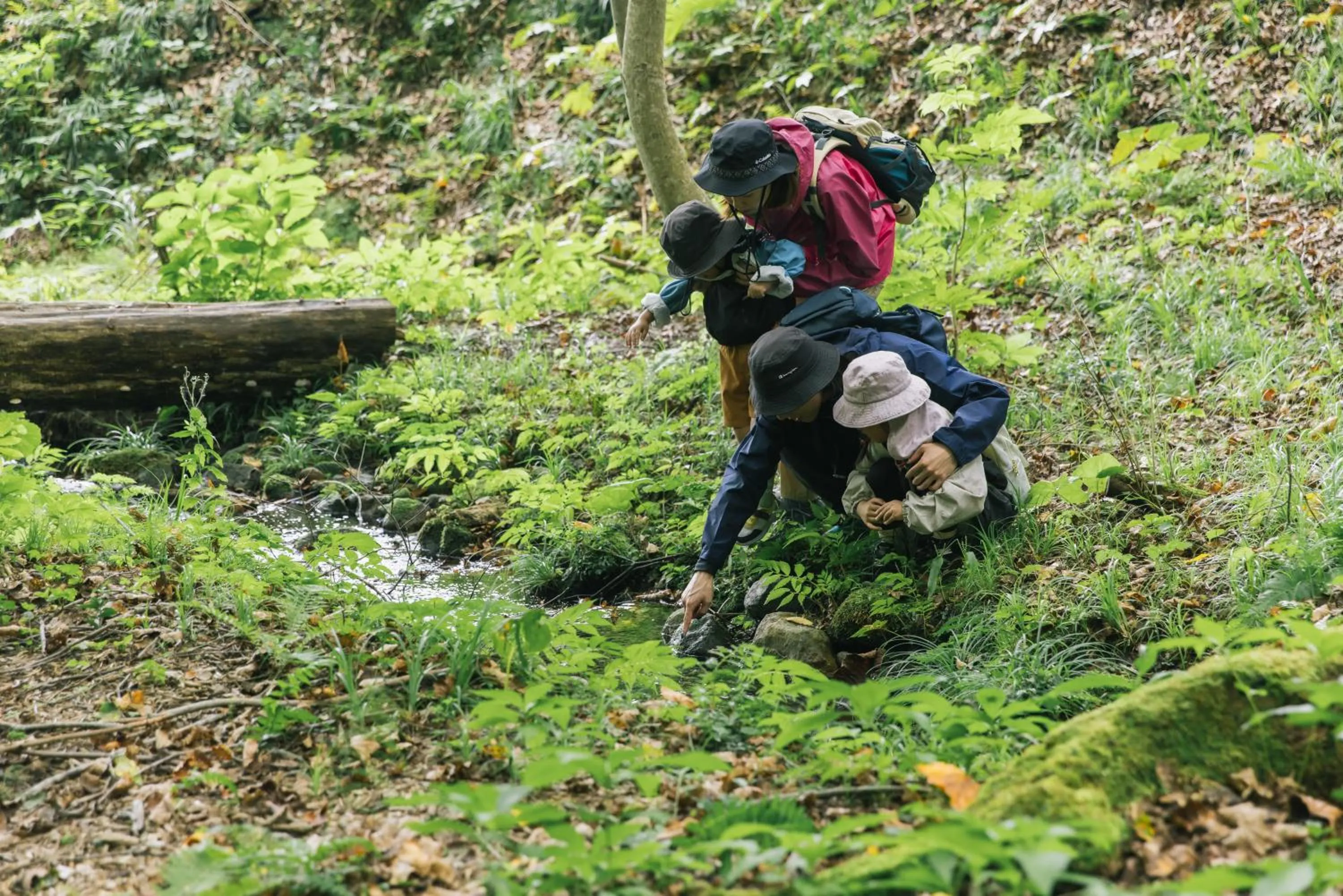 Hiking in Hotel Alpen Blick