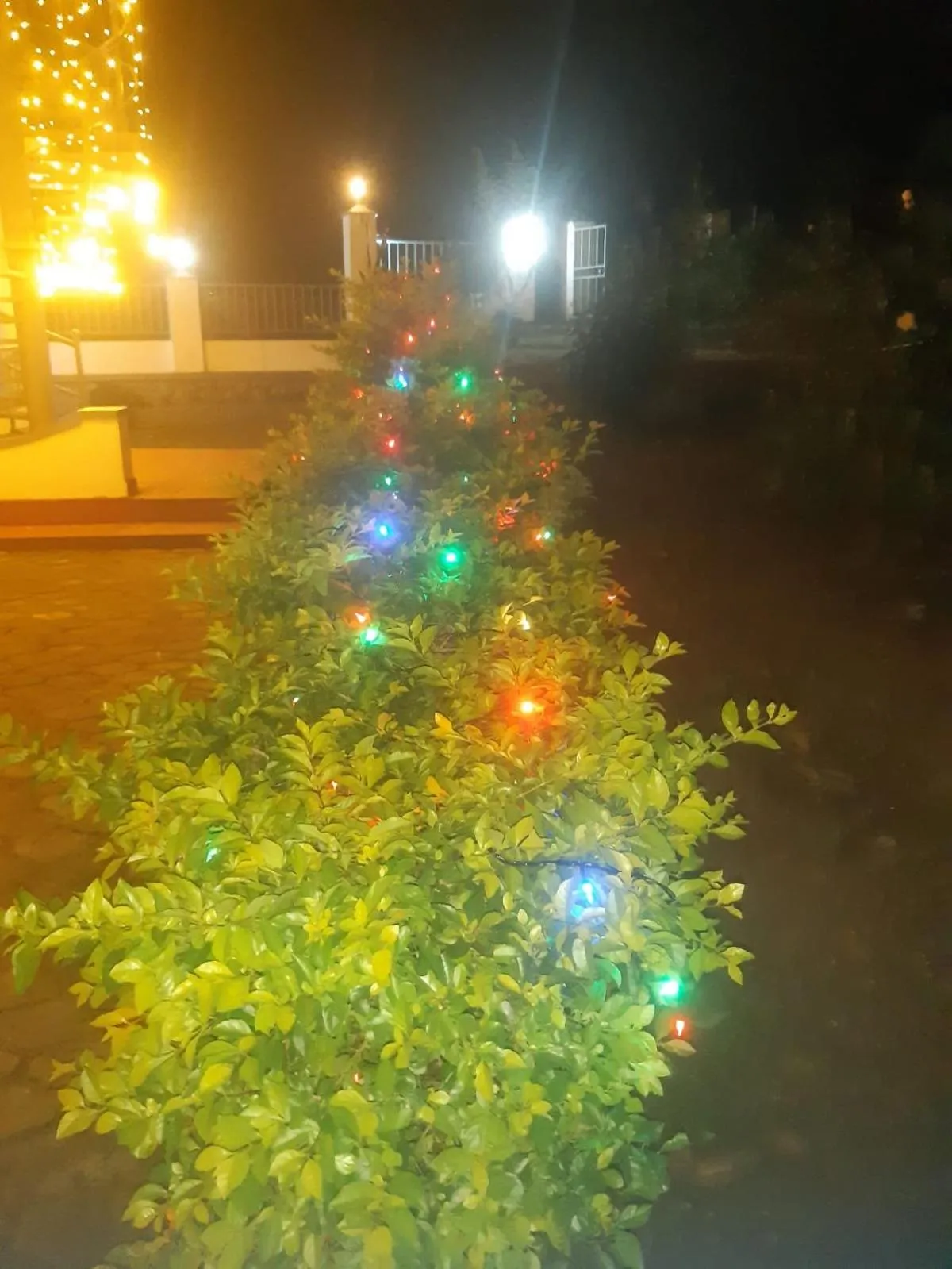 The Nirvana Resort Munnar