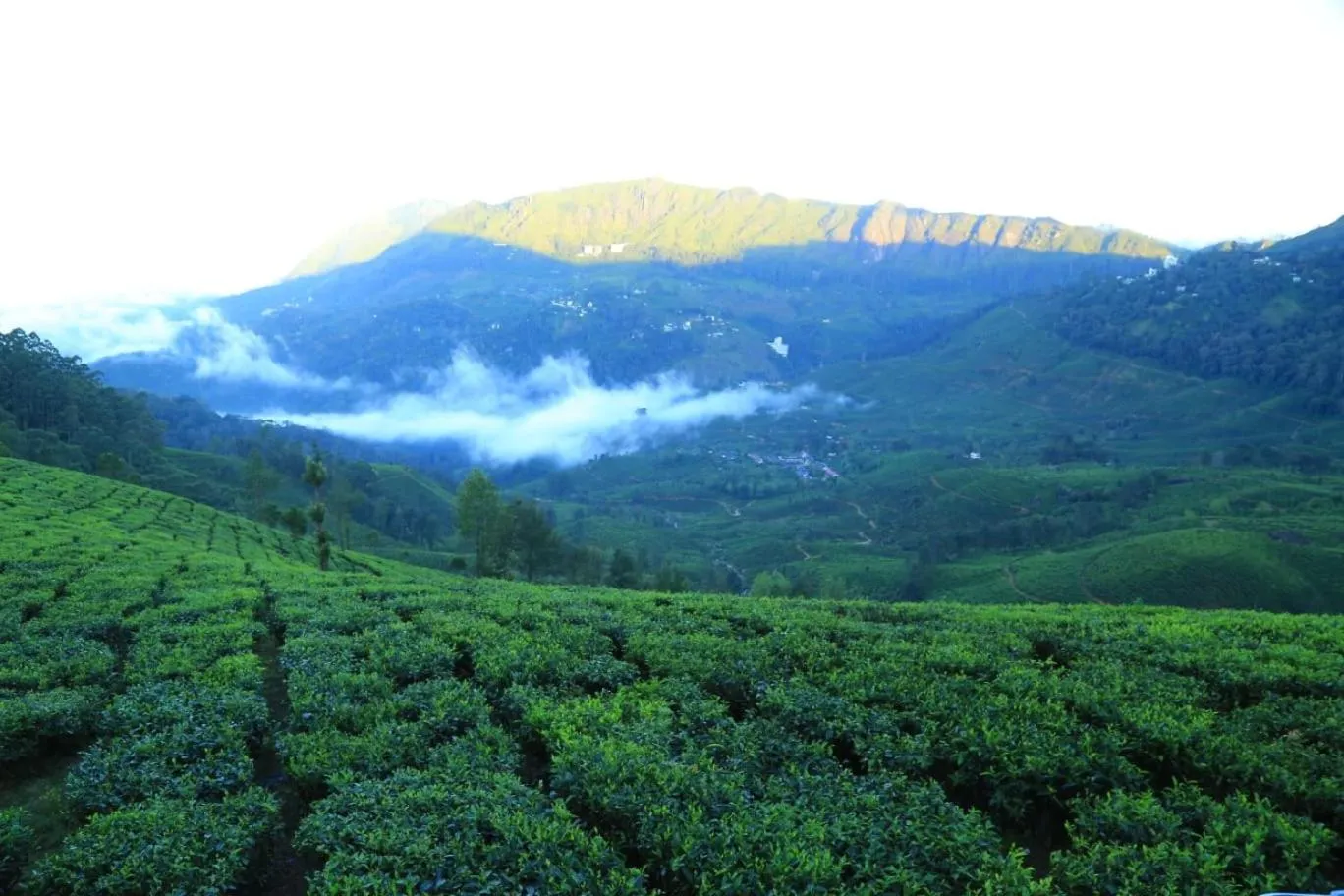 The Nirvana Resort Munnar