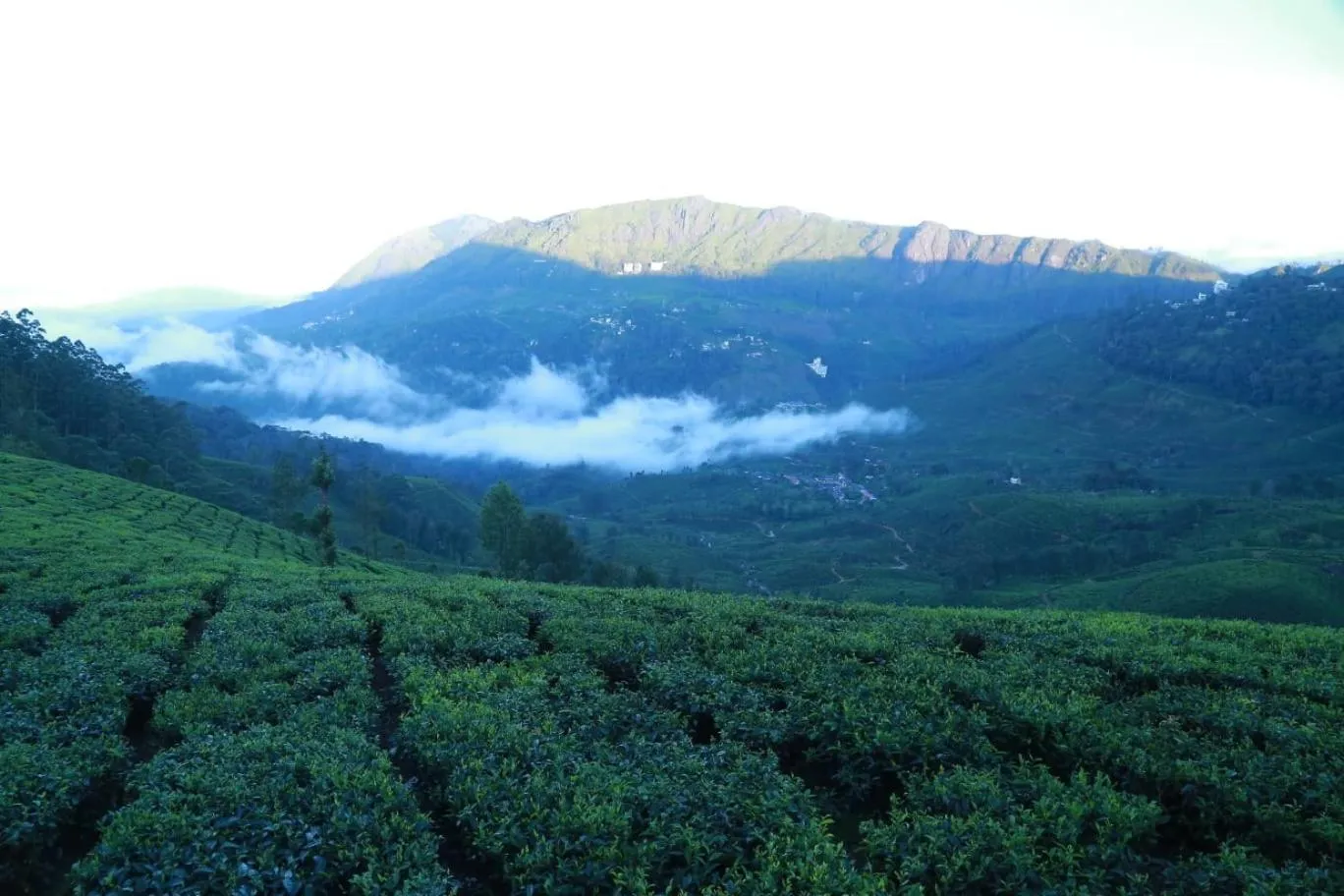 The Nirvana Resort Munnar