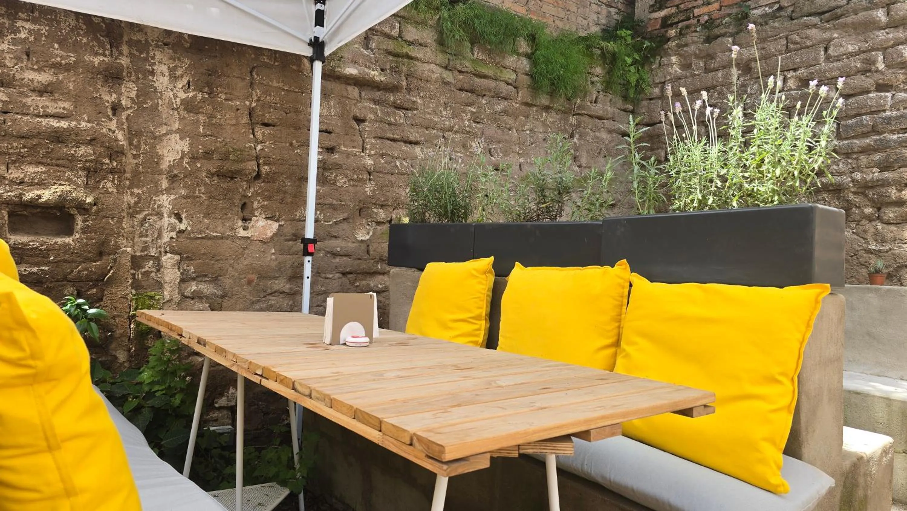 Restaurant/places to eat in Hotel NEXT