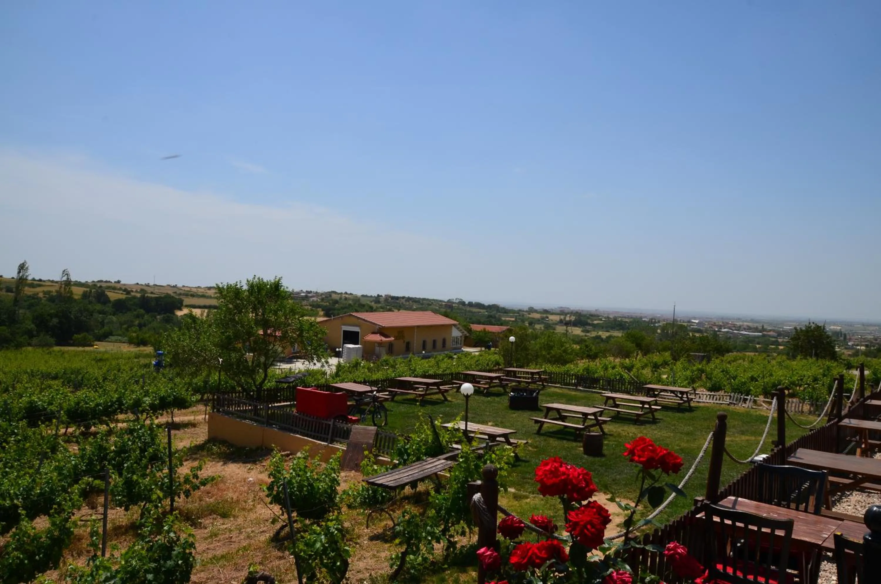 Garden view in Dessera Vineyards Hotel