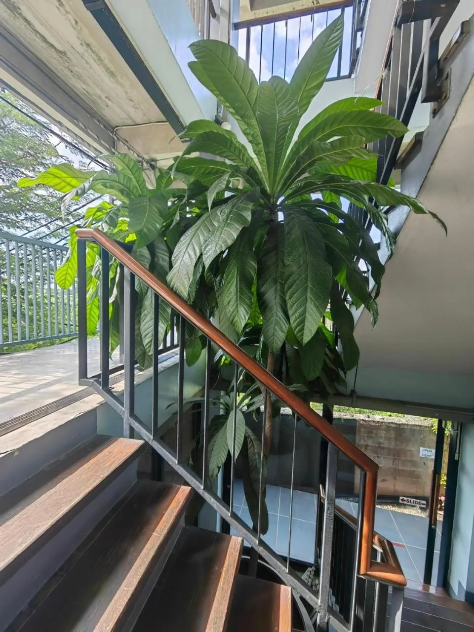 Facade/entrance in Bkk39 Airport hotel