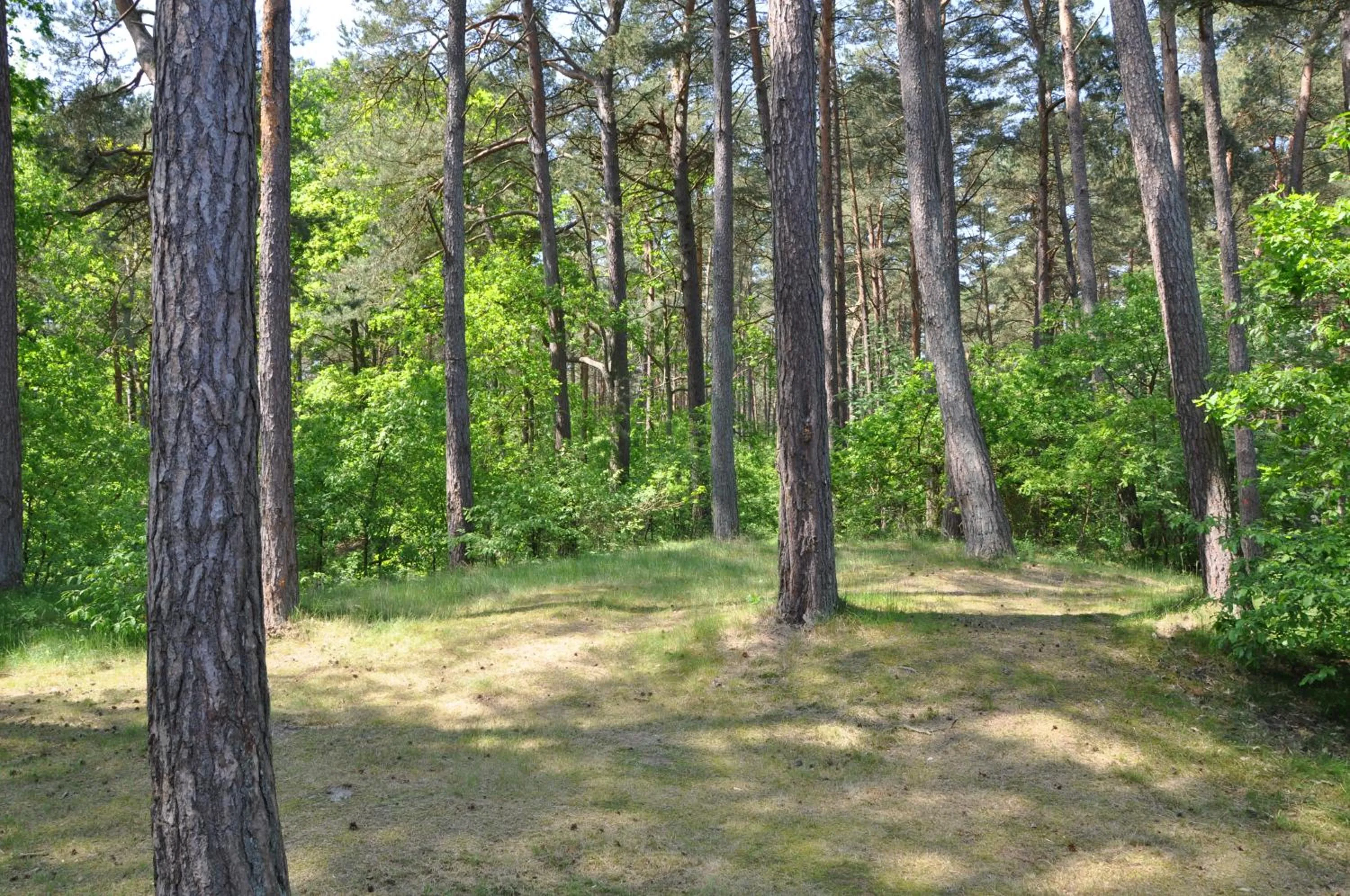 Natural landscape in Haus Sandra